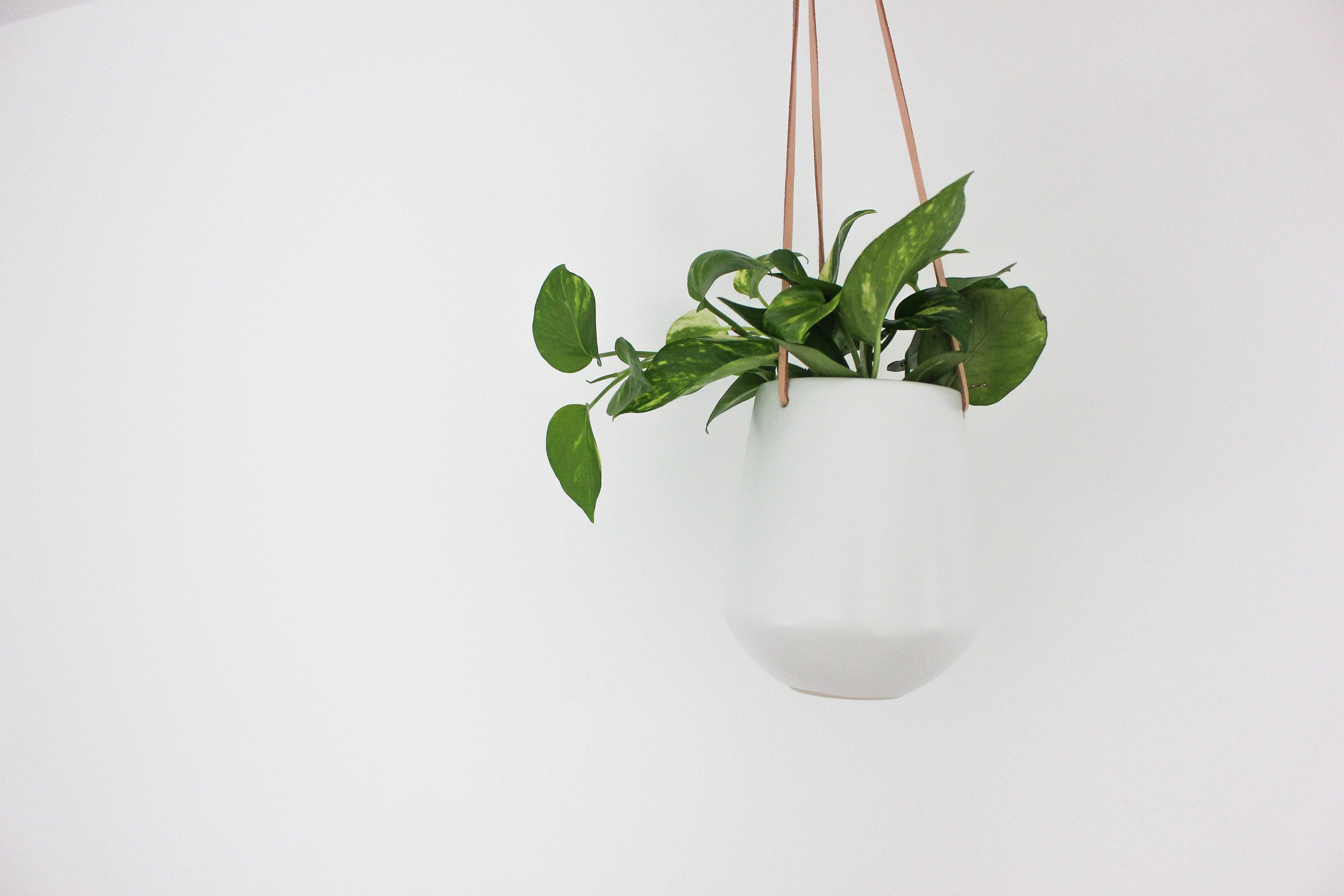 White Ceramic Hanging Planter Pot with Leather Cord