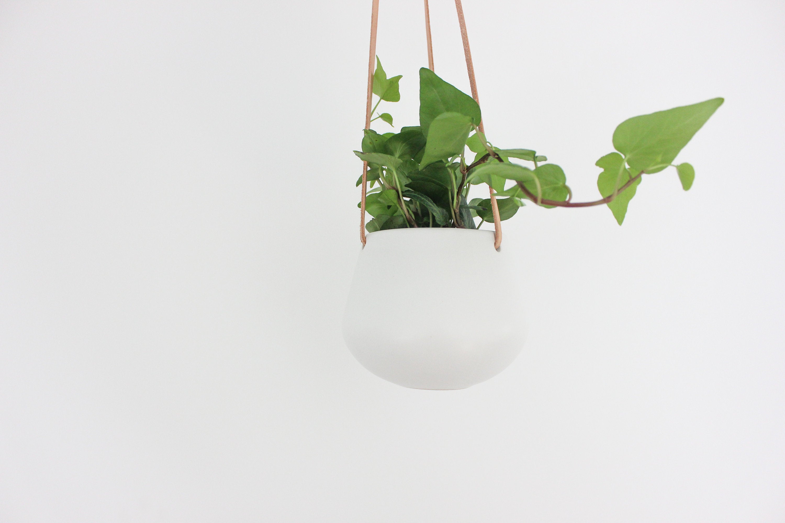 White Ceramic Hanging Planter Pot with Leather Cord