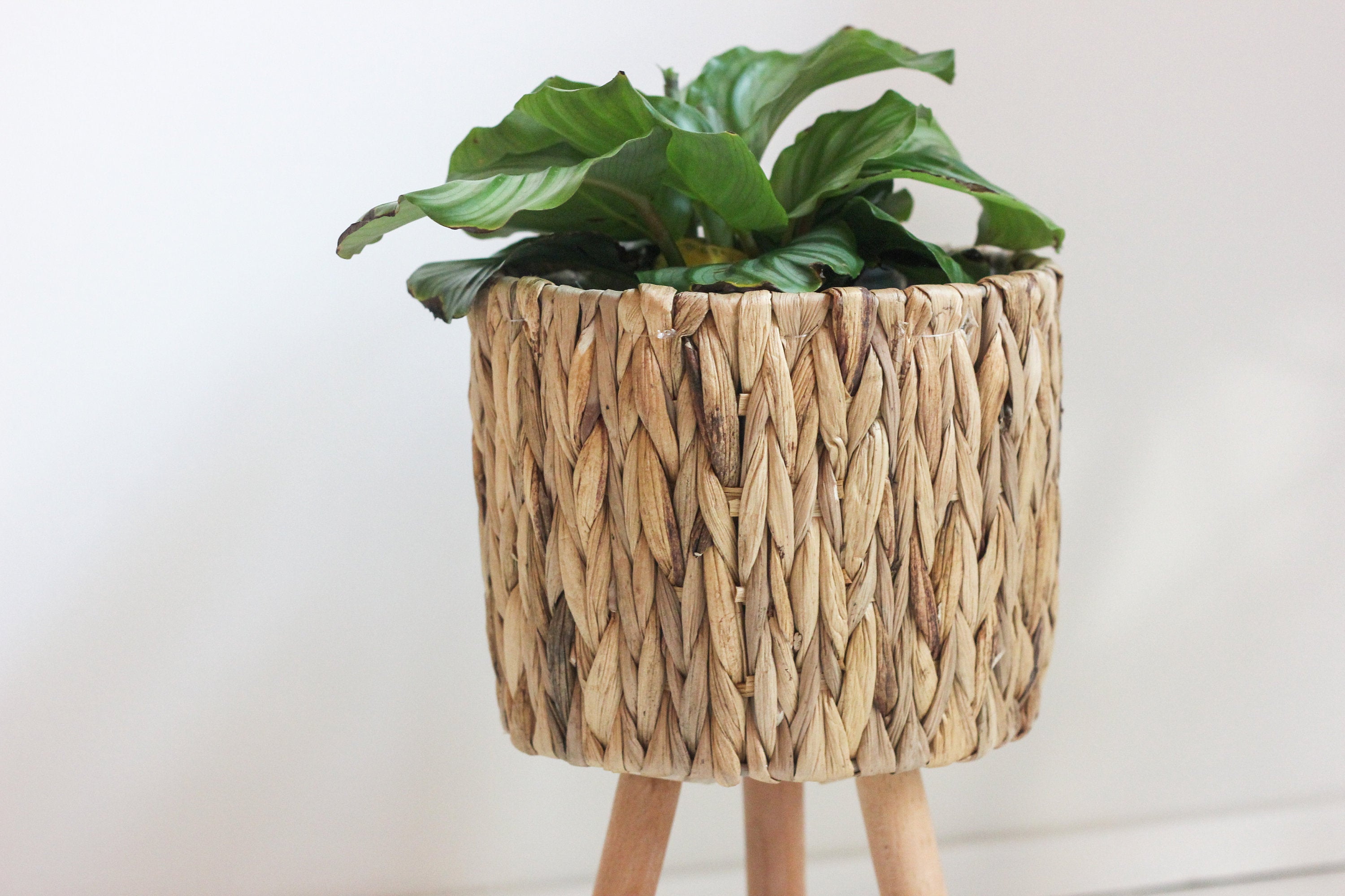 Bamboo Seagrass Hyacinth Plant Stand