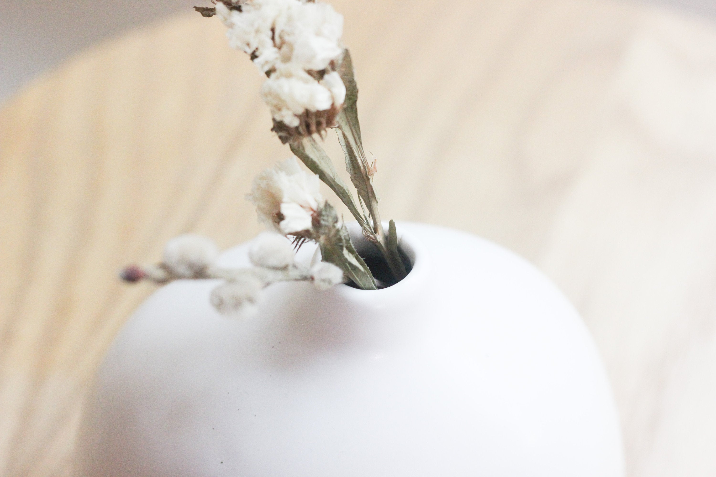Modern Bud Vases for Dried Flowers in Matte White