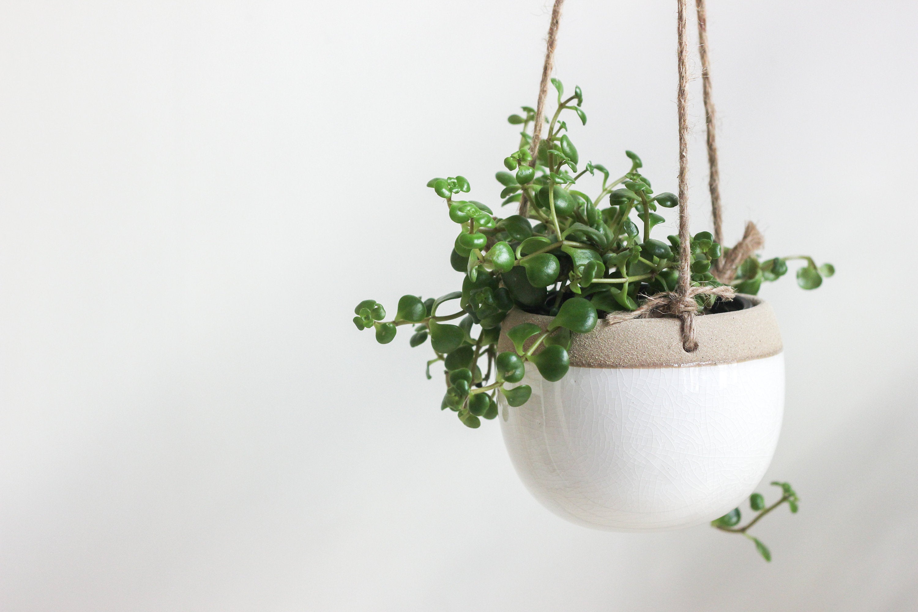 Boho Ceramic Hanging Planter Pot in White and Beige