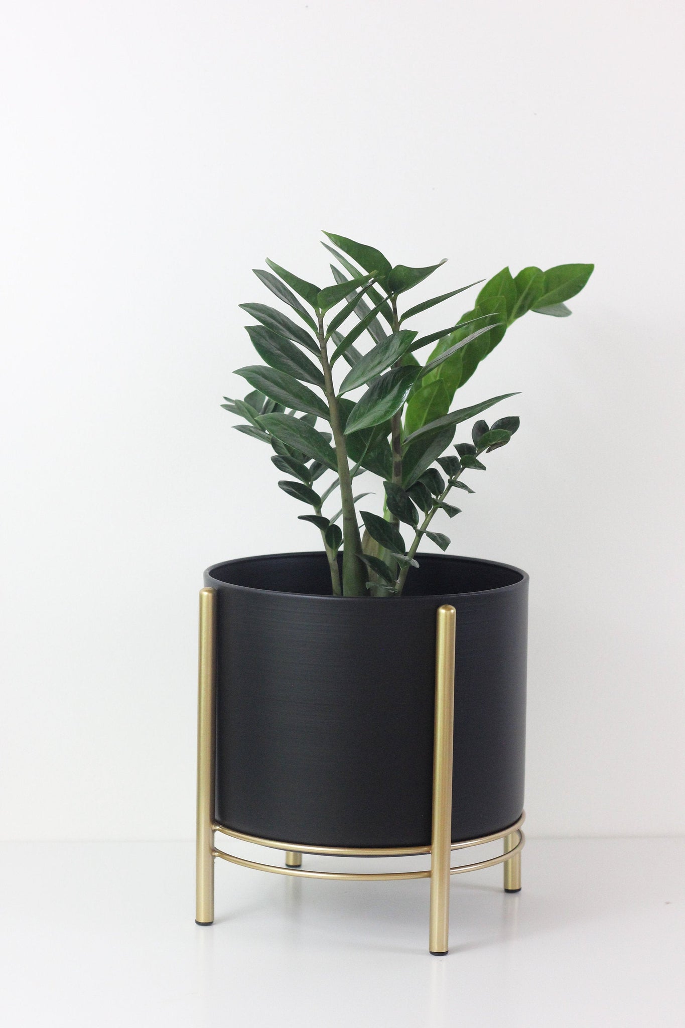 black and gold plant pot White Standing Planter Pot with Modern Gold Plant Stand – SPROUT & ABOUT