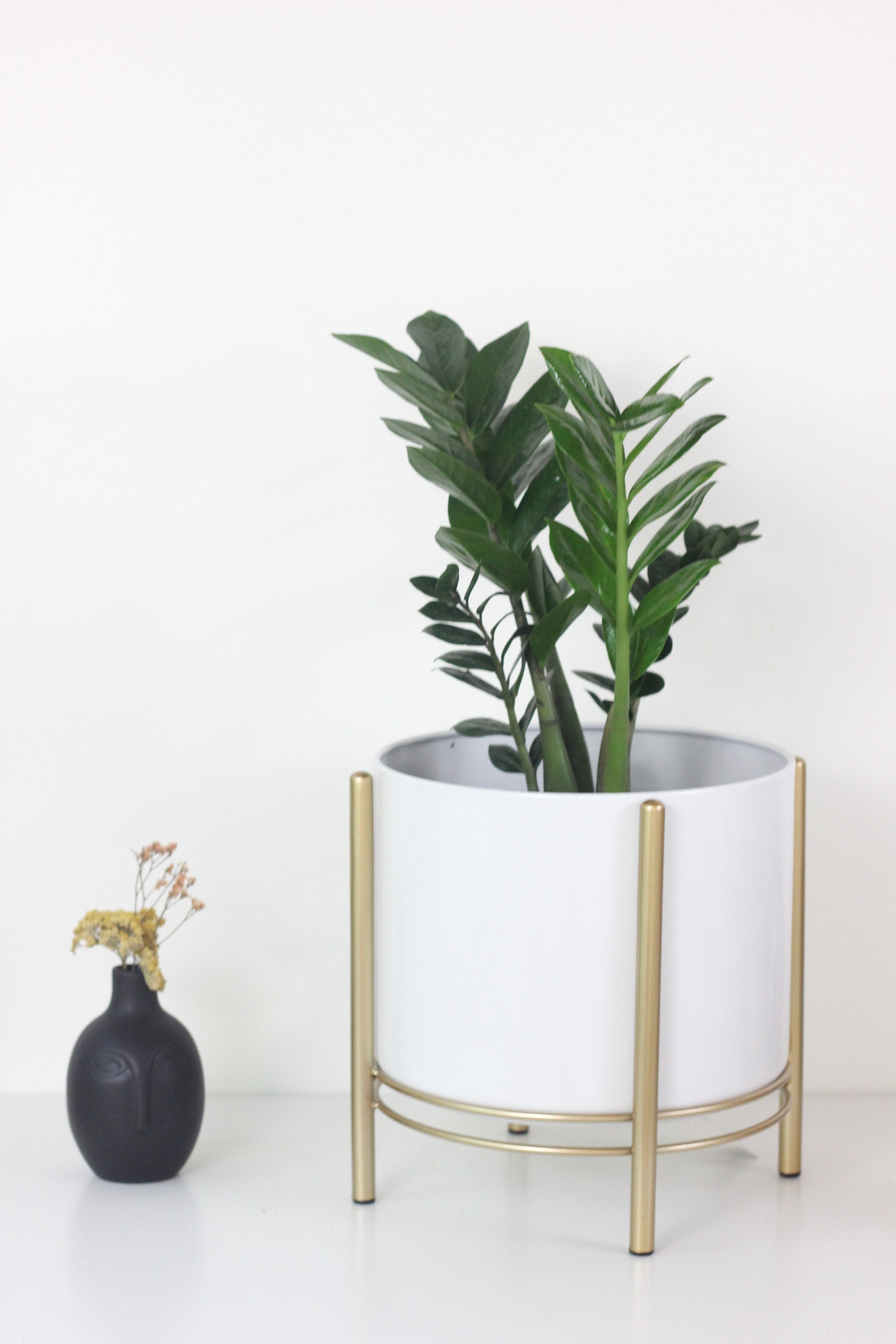 standing pot plant Black Standing Planter Pot with Modern Gold Plant Stand – SPROUT & ABOUT