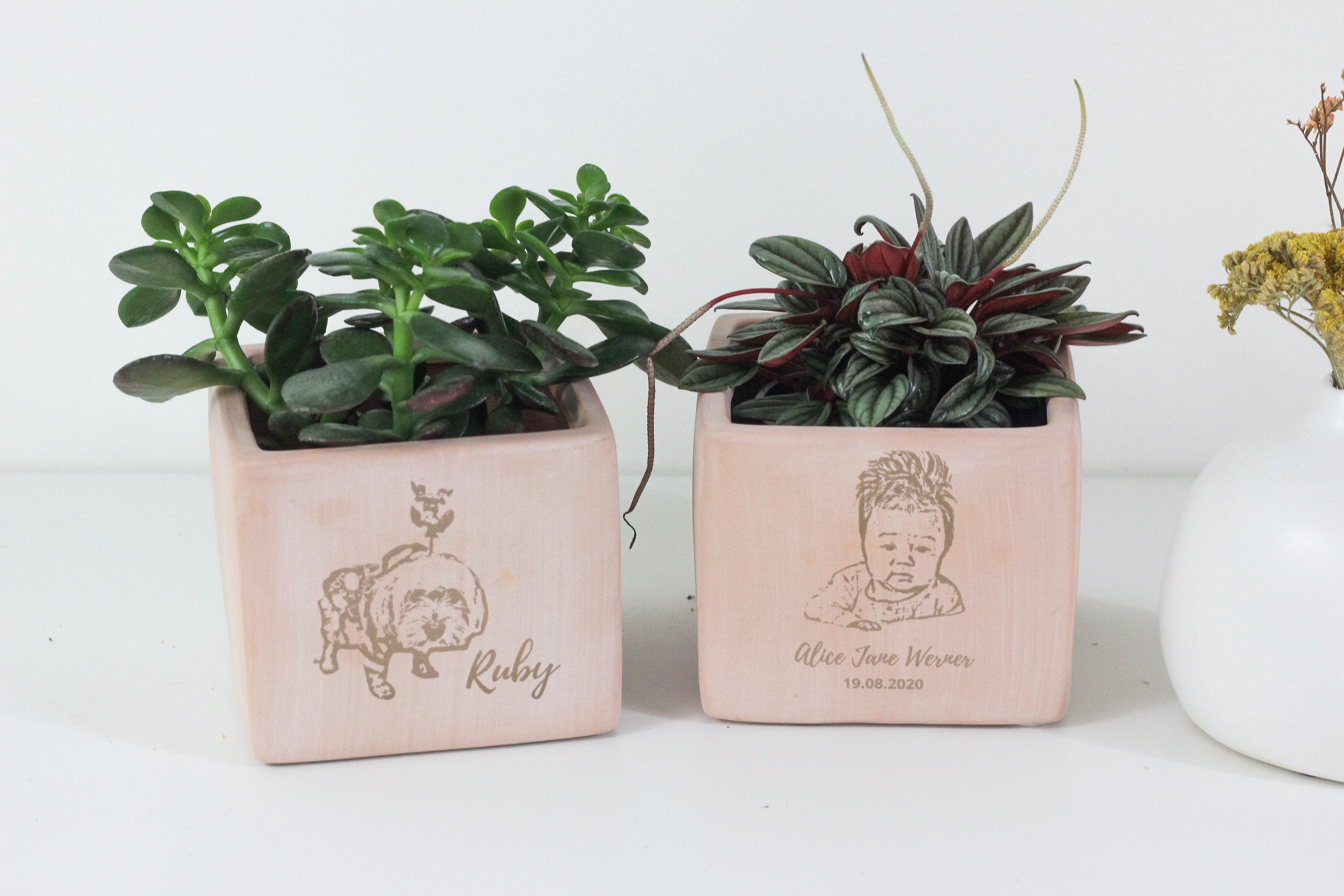 Personalized- Blush Pink Terracotta Cube Planter Pot