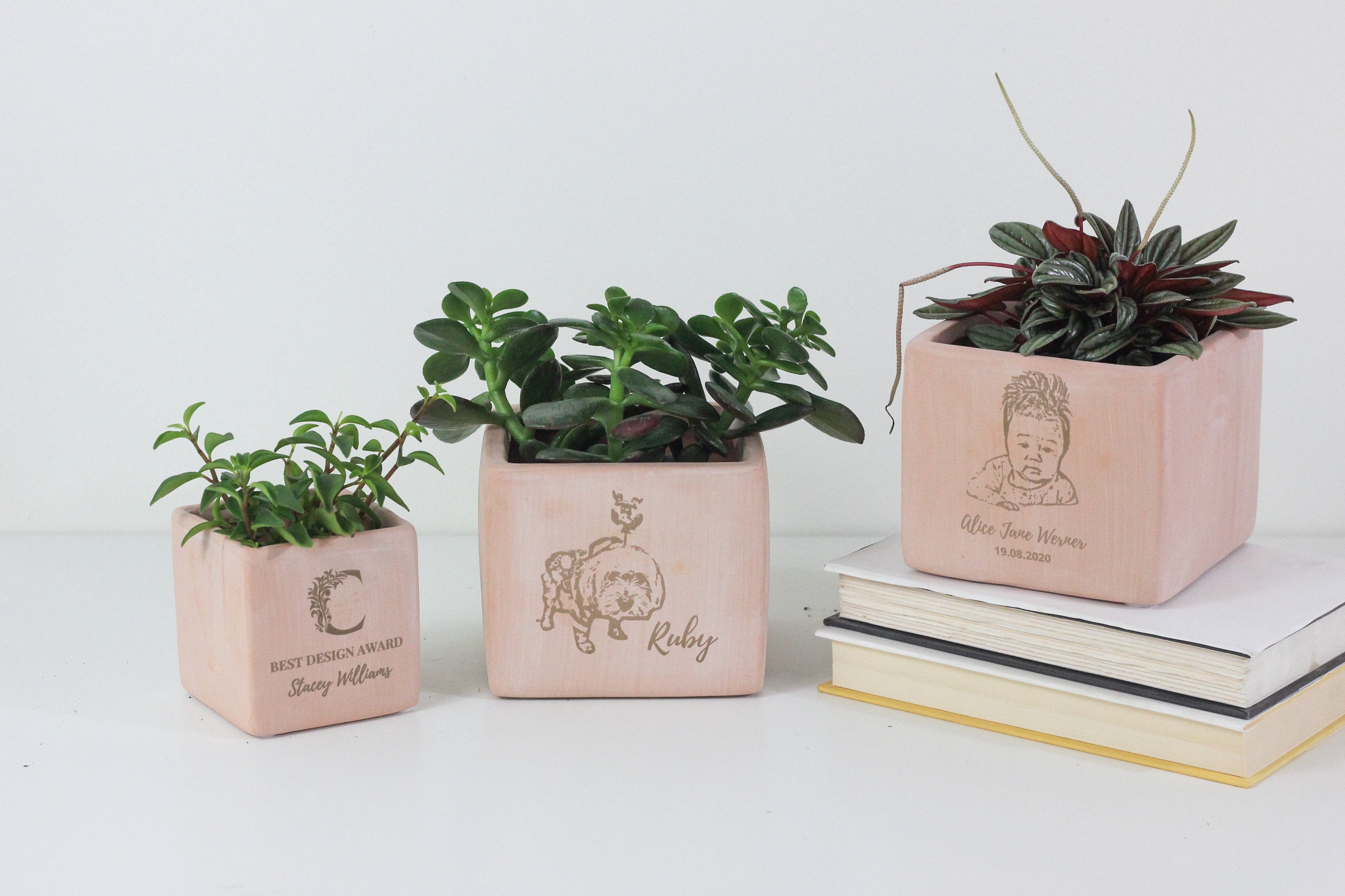 Personalized- Blush Pink Terracotta Cube Planter Pot