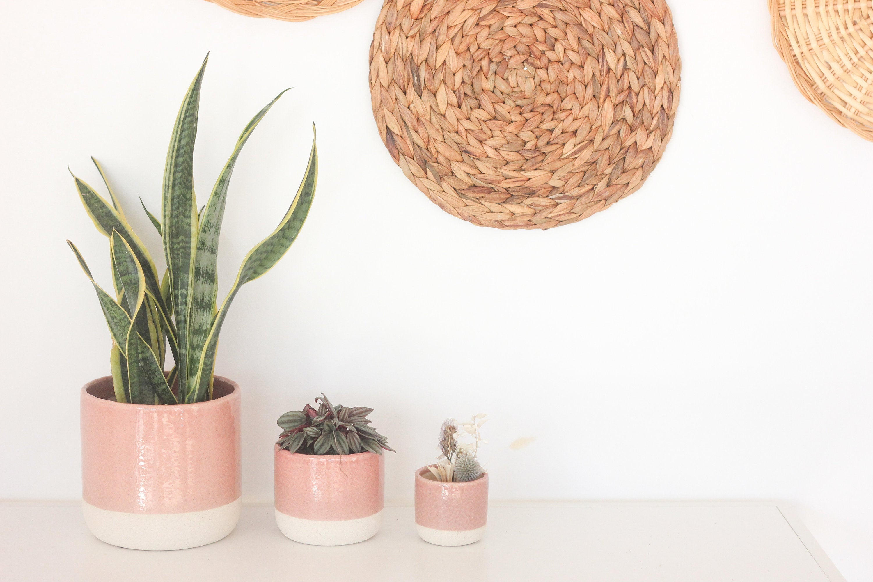blush plant pot Blush Pink and Natural Ceramic Planter Pot with Crackle Glaze – SPROUT & ABOUT