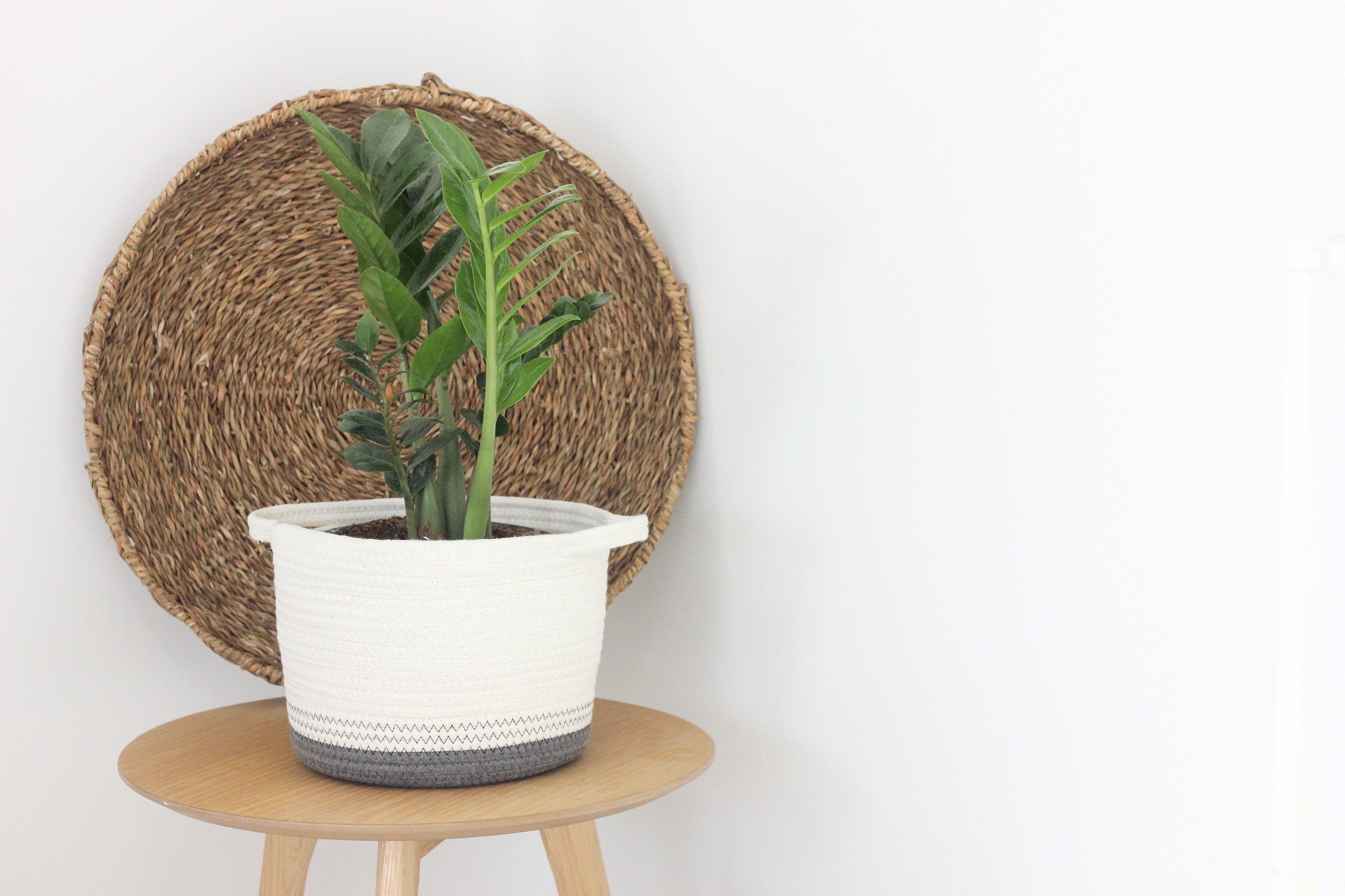 Extra Large Floor Plant Basket Dark Grey and White Cotton Rope