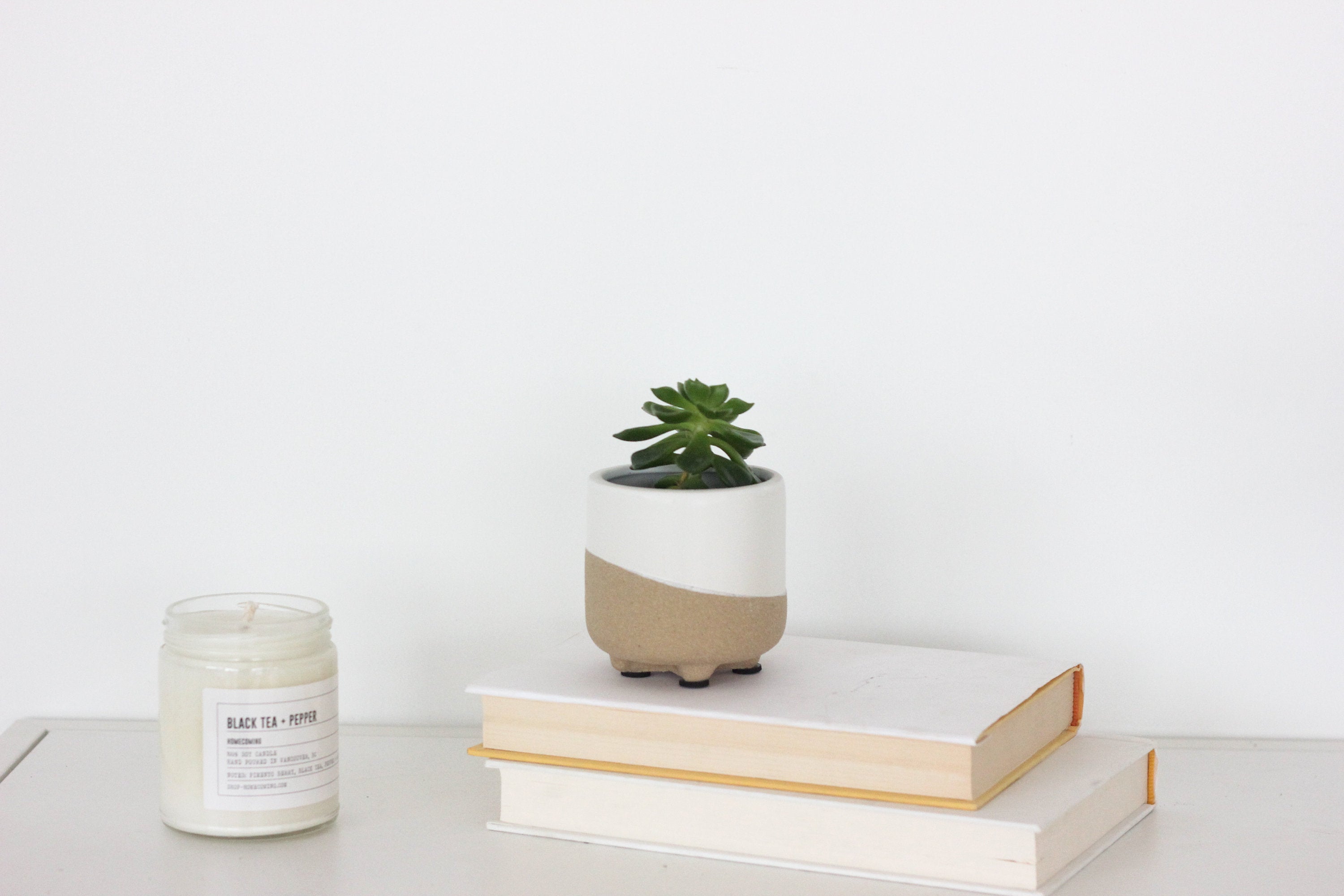 Neutral Matte White and Natural Texture Minimal Footed Planter Pot
