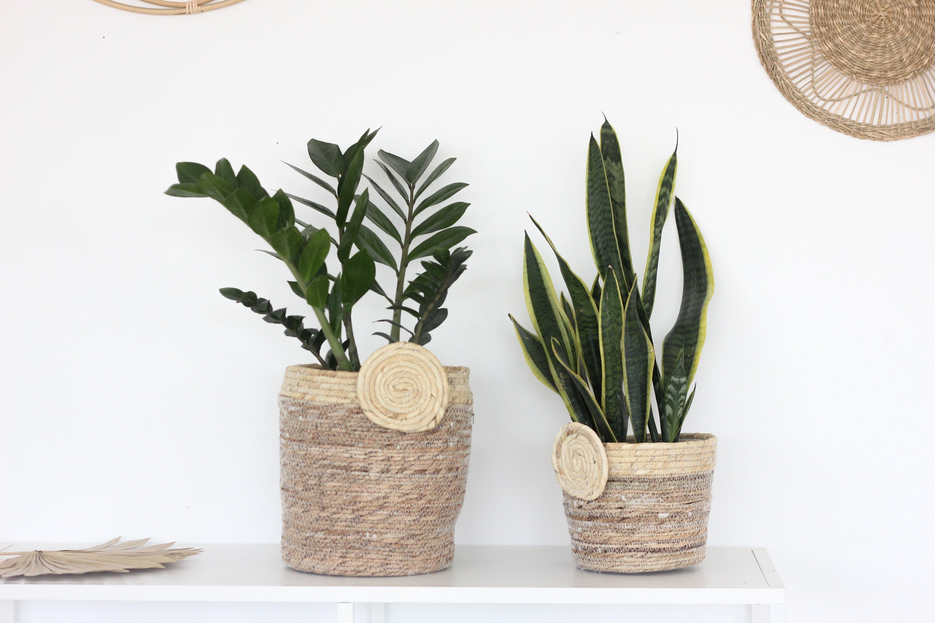 Woven Jute Storage and Plant Basket with Circle Accent