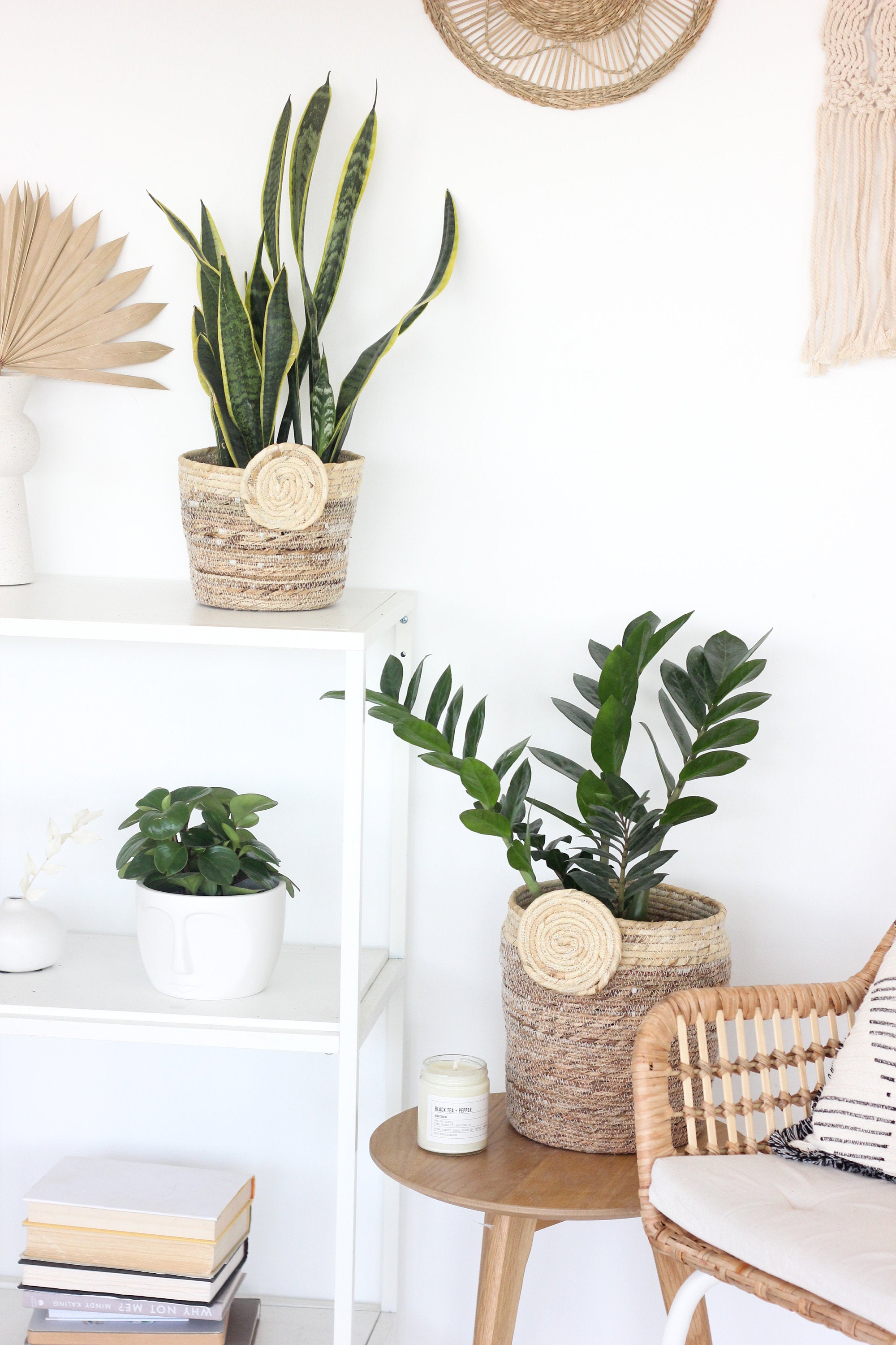 Woven Jute Storage and Plant Basket with Circle Accent