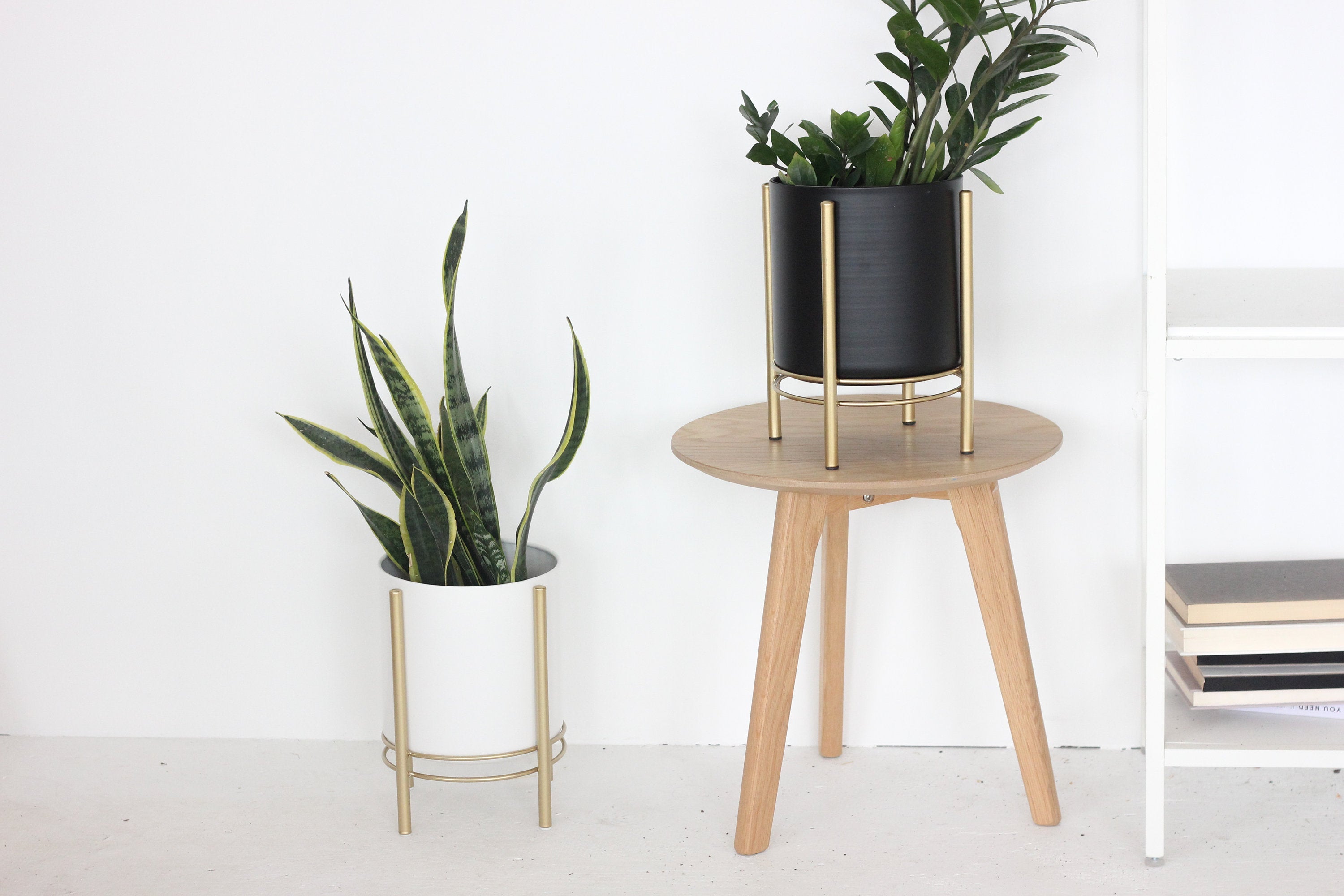 Black Standing Planter Pot with Modern Gold Plant Stand