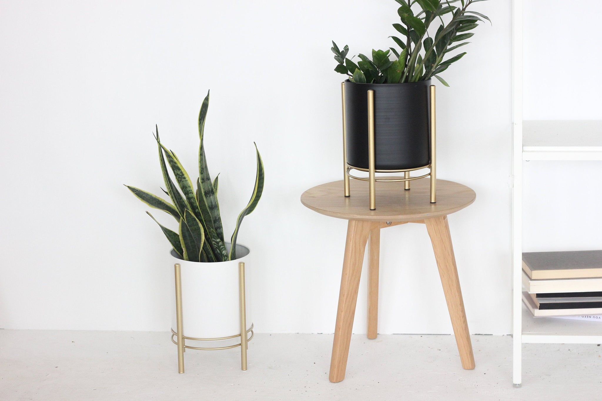 gold plant pot with stand Black Standing Planter Pot with Modern Gold Plant Stand – SPROUT & ABOUT