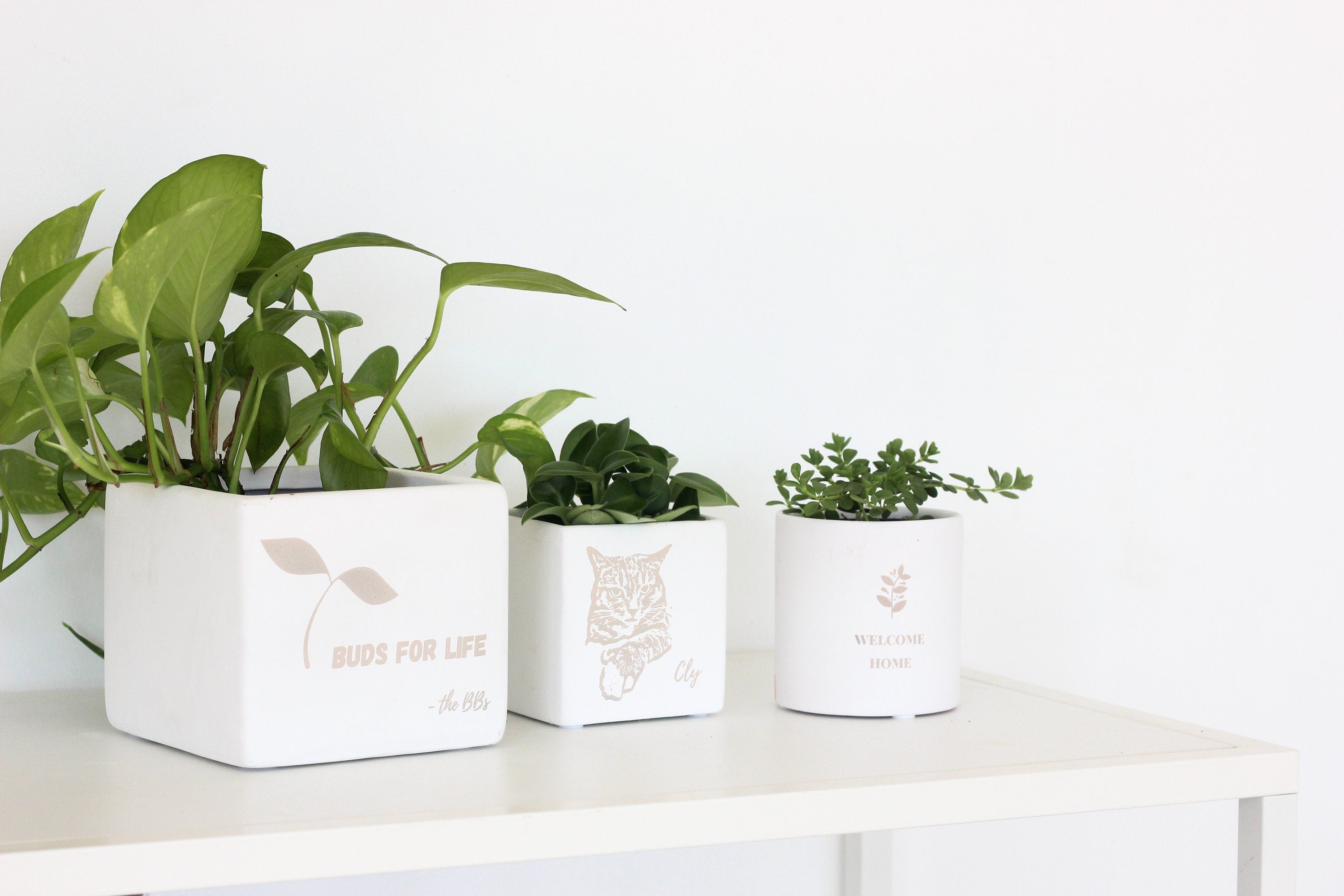 Personalized - White Terracotta Cube Planter Pot