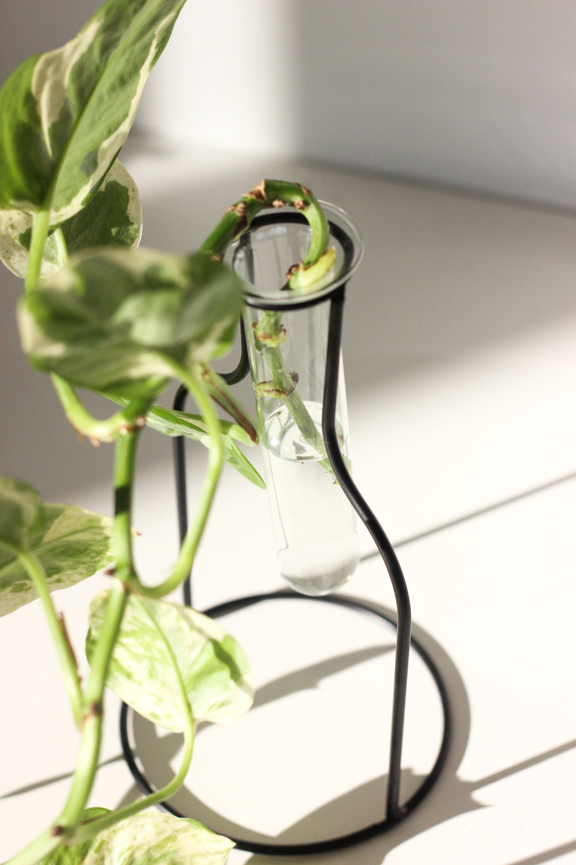 Propagation Station Tube Vase with Black Silhouette Frame
