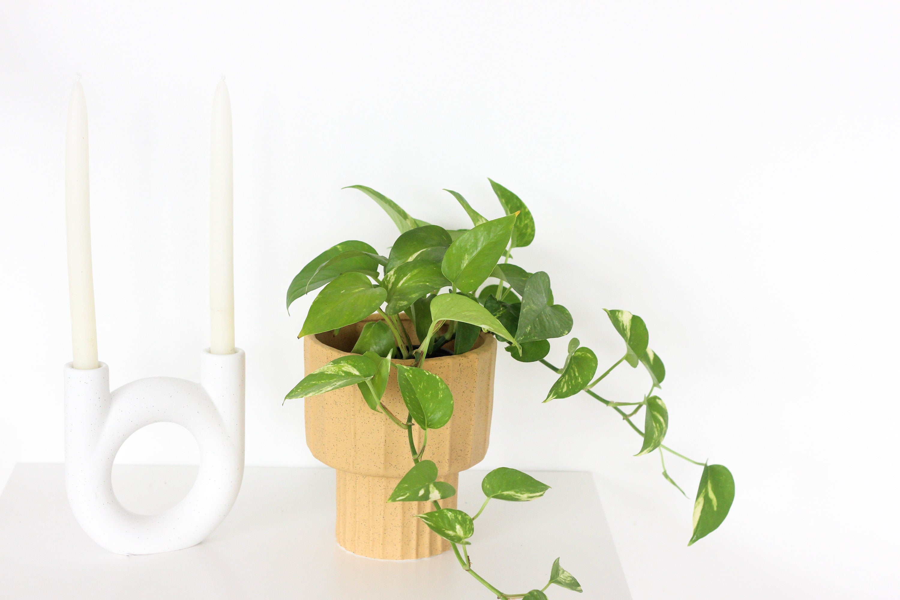 Mustard Terracotta Vase and Planter Pot with Speckles