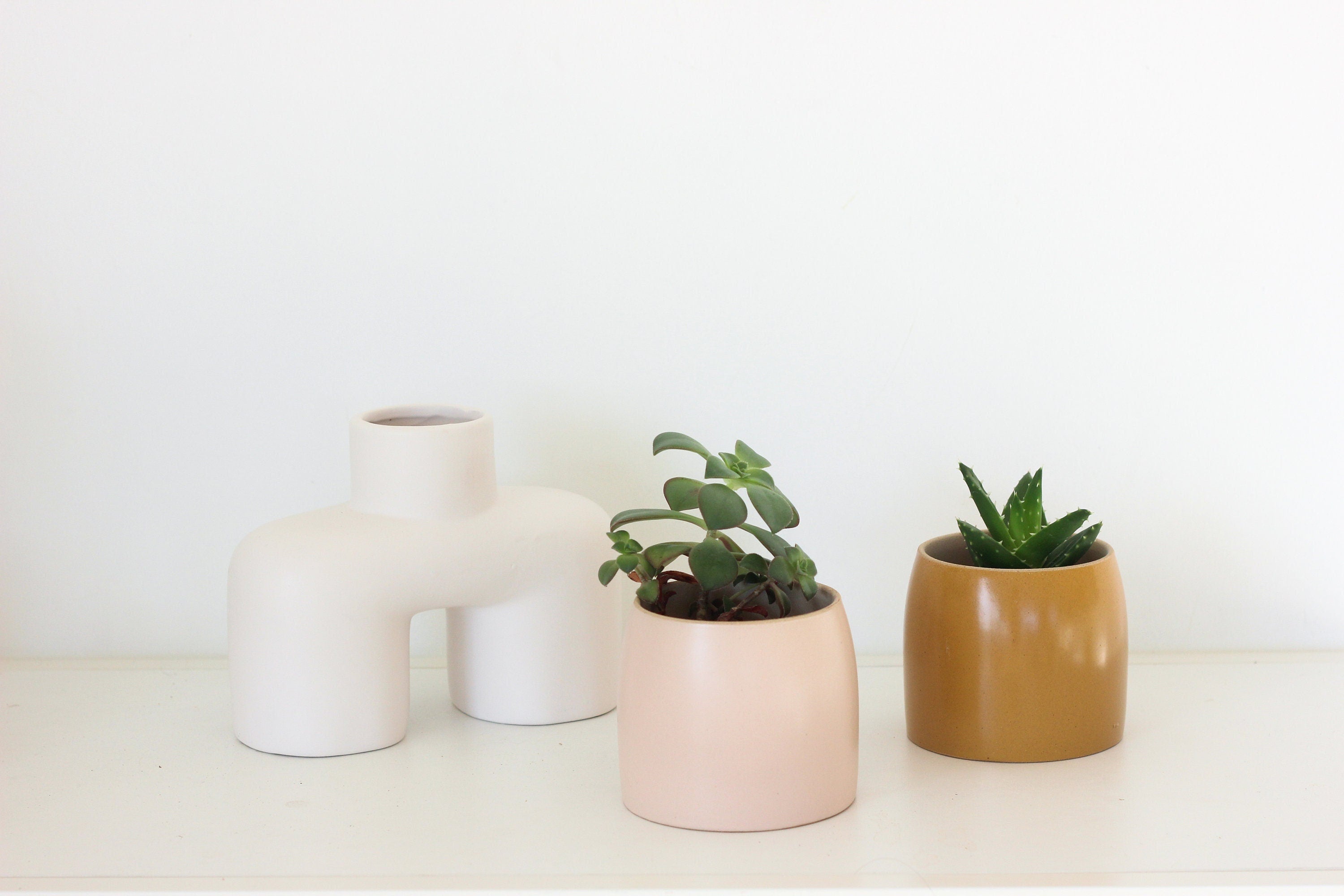 Small Succulent Pots Matte Ceramic in Blush Pink and Mustard