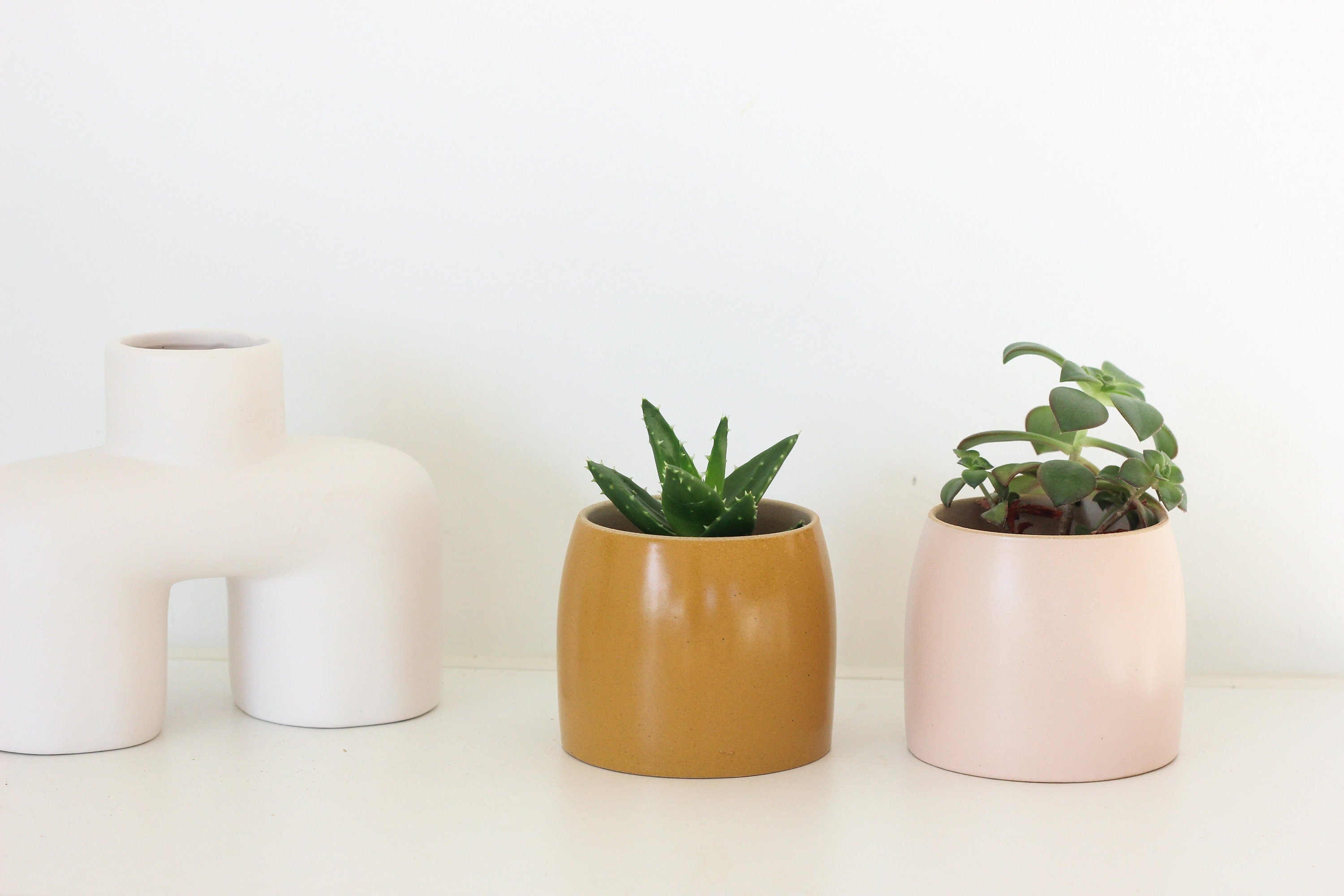 Small Succulent Pots Matte Ceramic in Blush Pink and Mustard