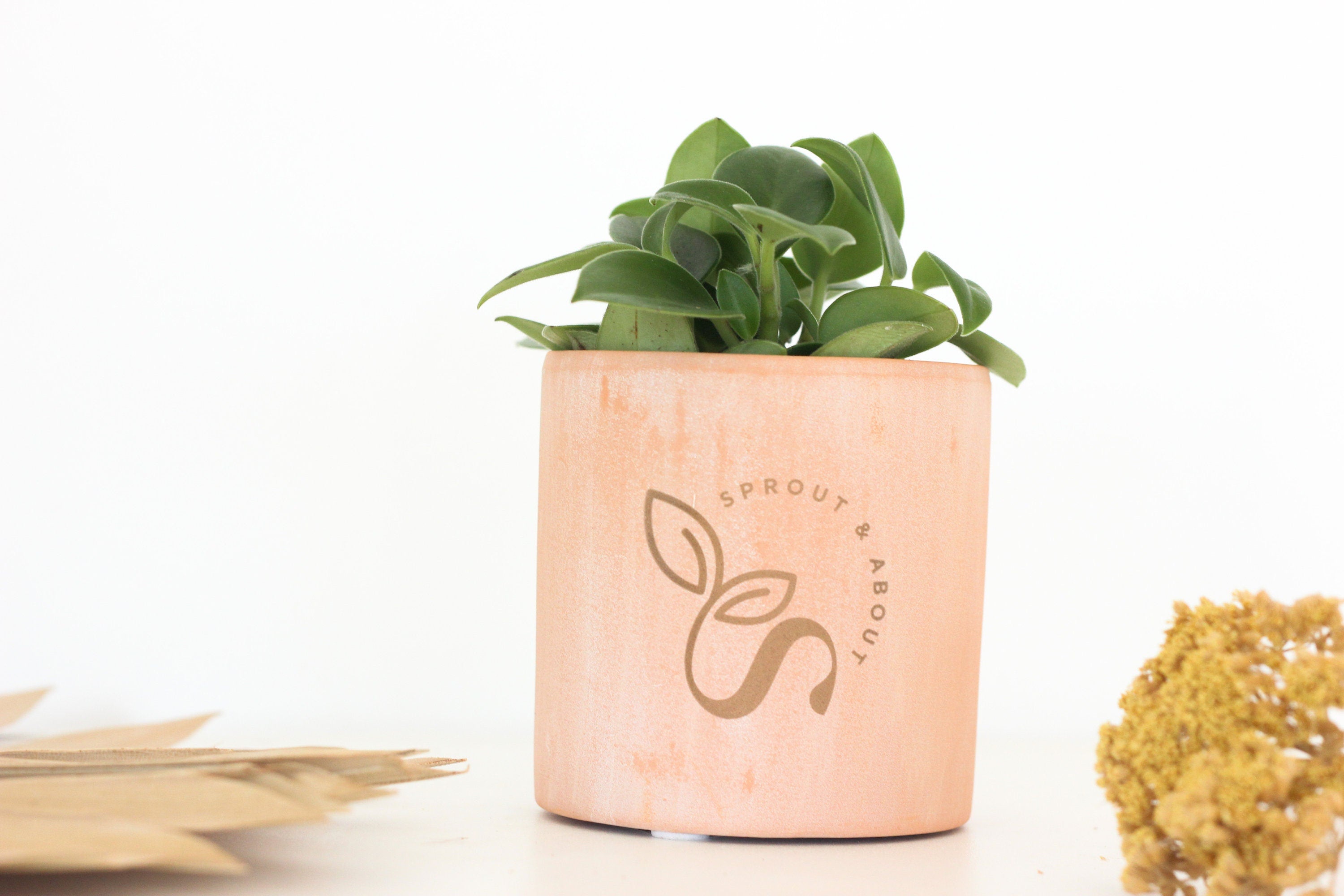 Personalized Blush Pink Flower Pot, Engraved Terracotta Planter