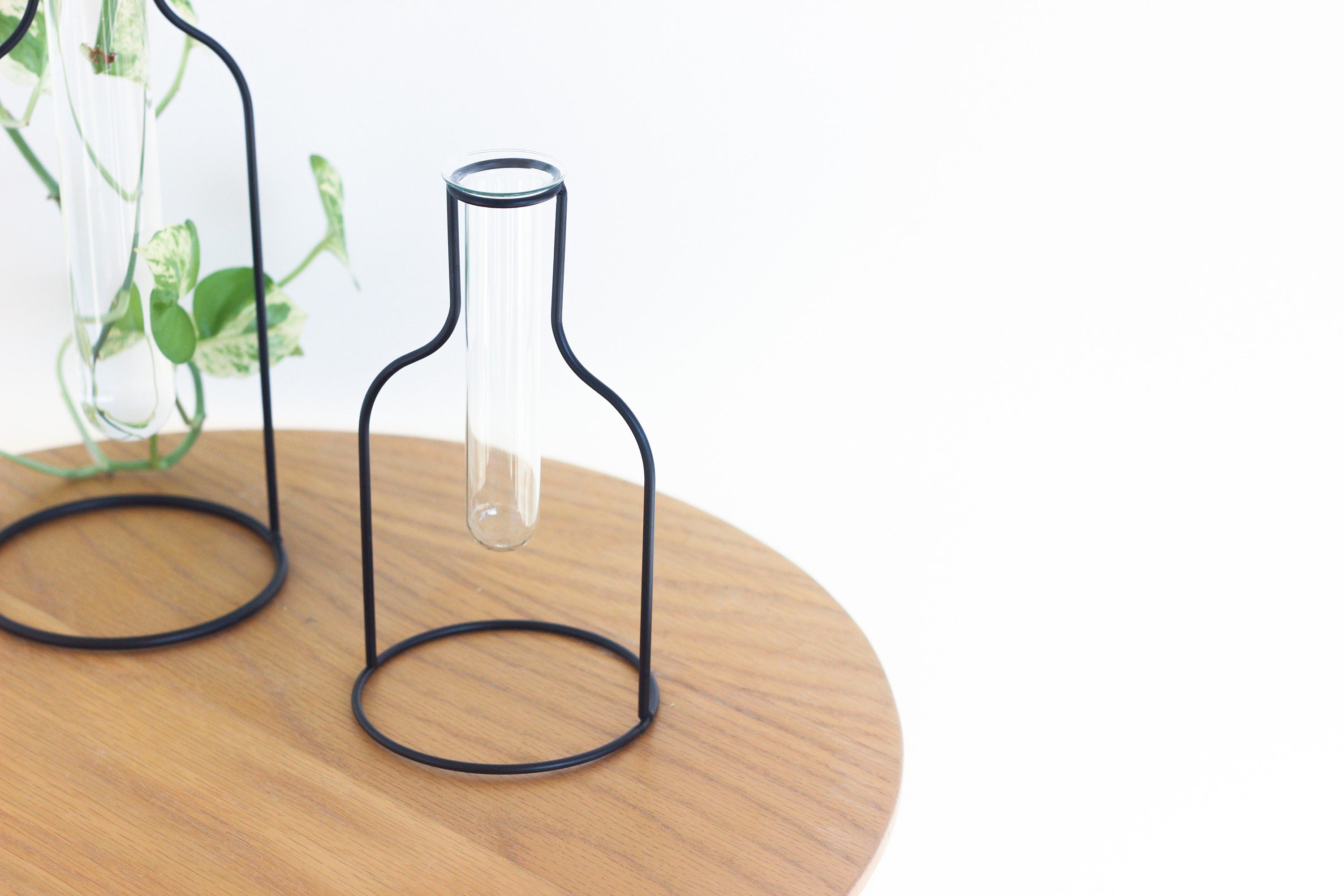 Propagation Station Tube Vase with Black Silhouette Frame