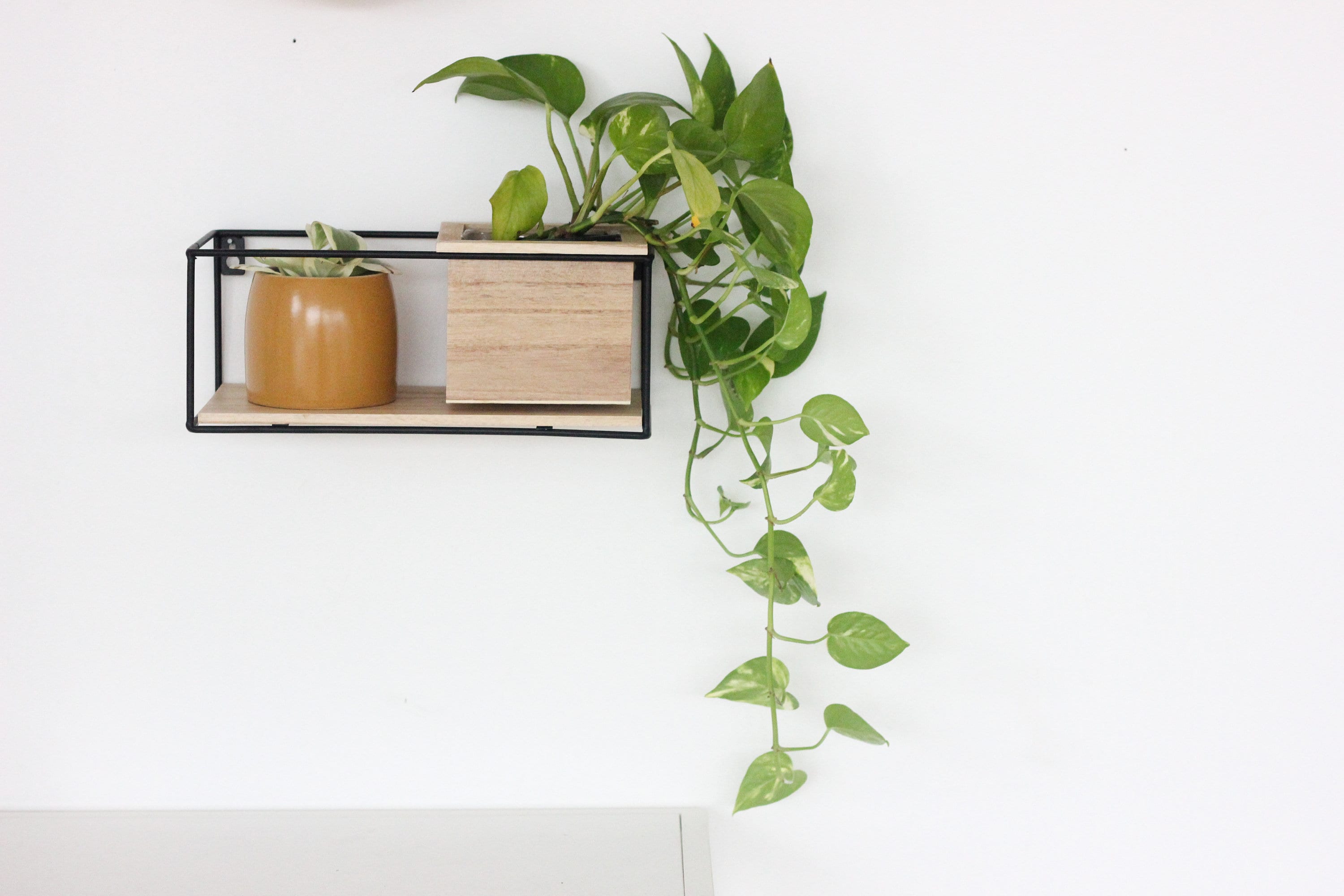Wall Shelf and Planter, Office and Kitchen Organization