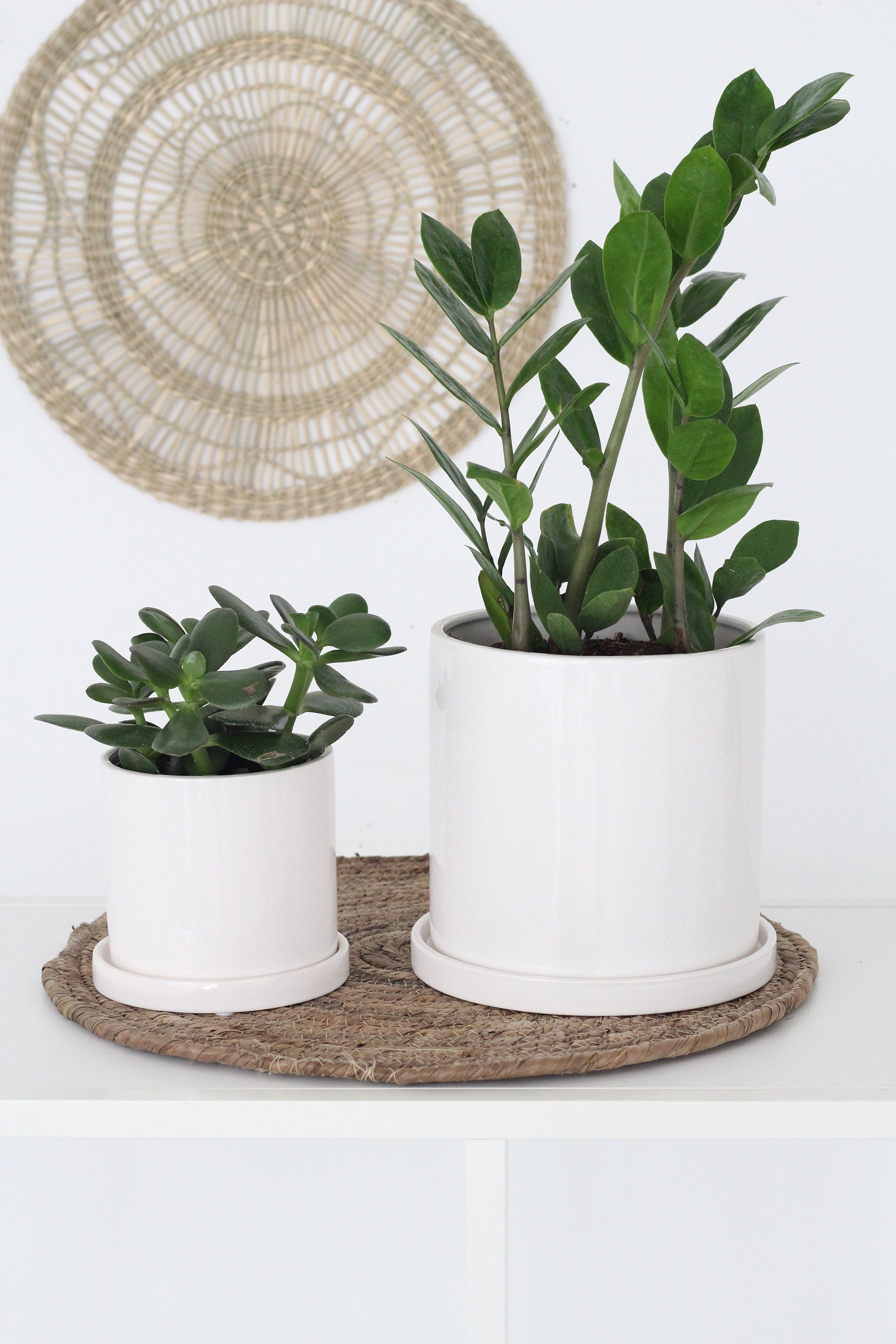 large white plant pot with saucer Planter with Saucer in Minimalist Glossy White – SPROUT & ABOUT