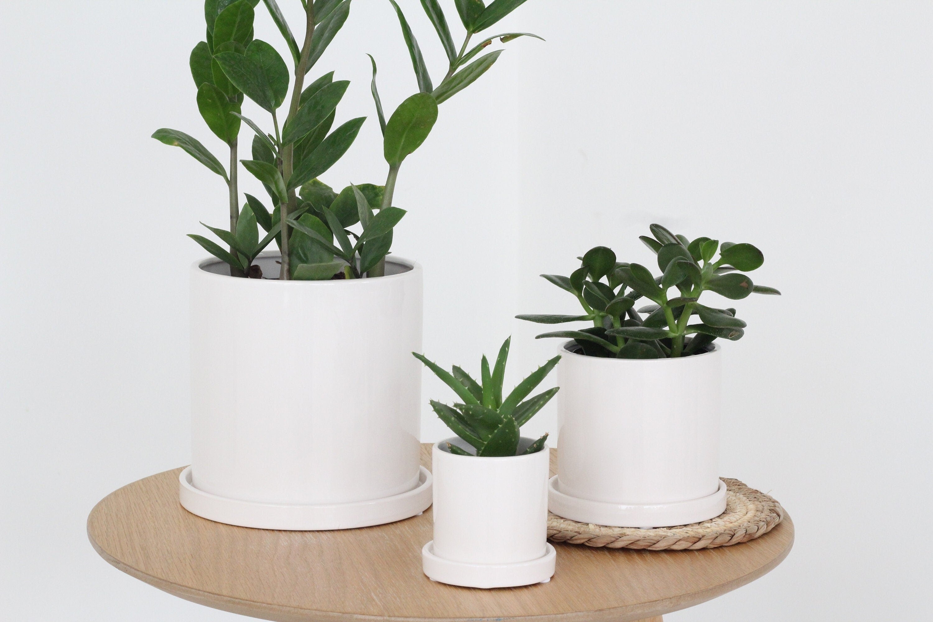 Planter with Saucer in Minimalist Glossy White