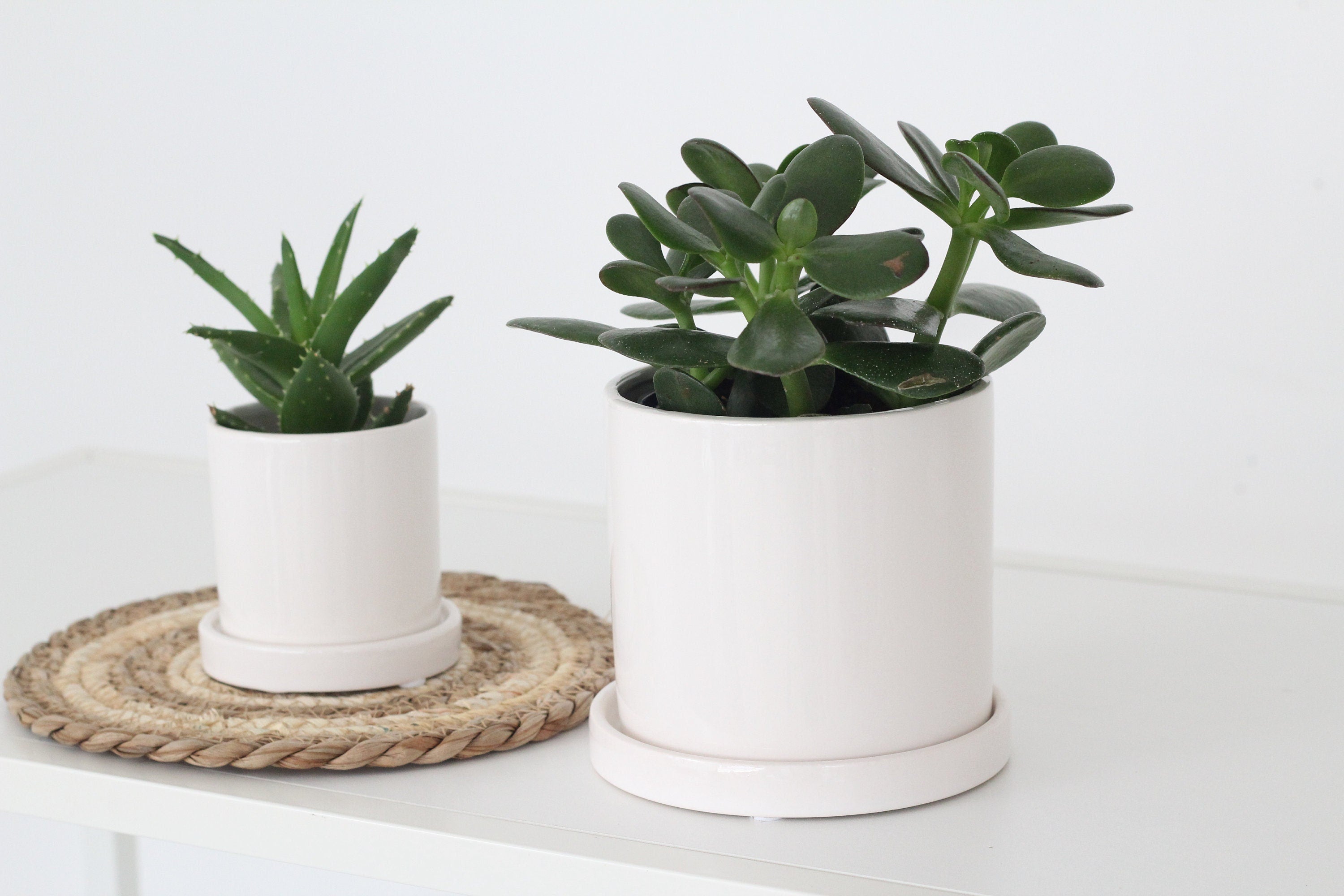white ceramic plant pot with saucer Planter with Saucer in Minimalist Glossy White – SPROUT & ABOUT