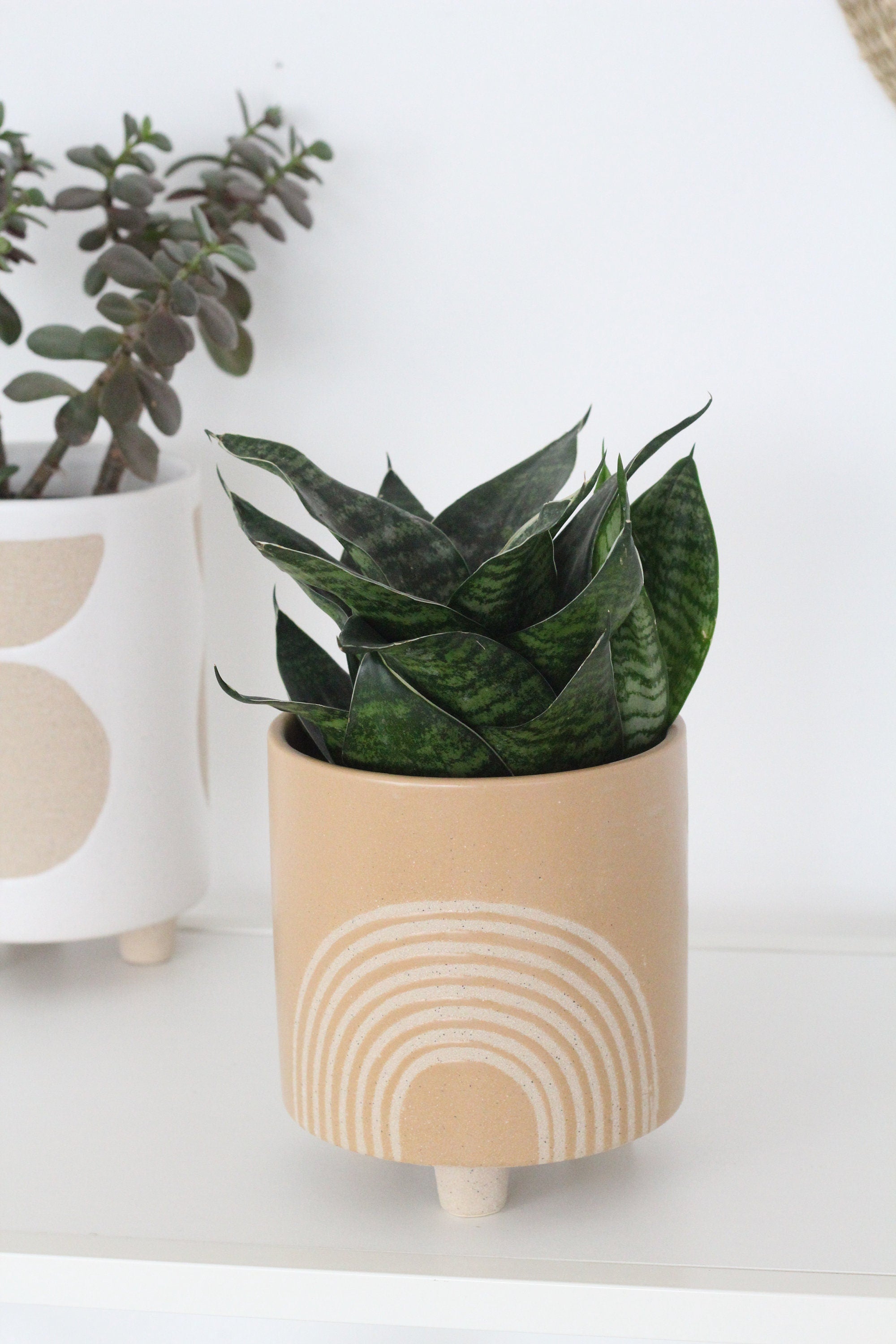 Beige Neutral Ceramic Planter Pot on Feet - Circle and Arch Emboss
