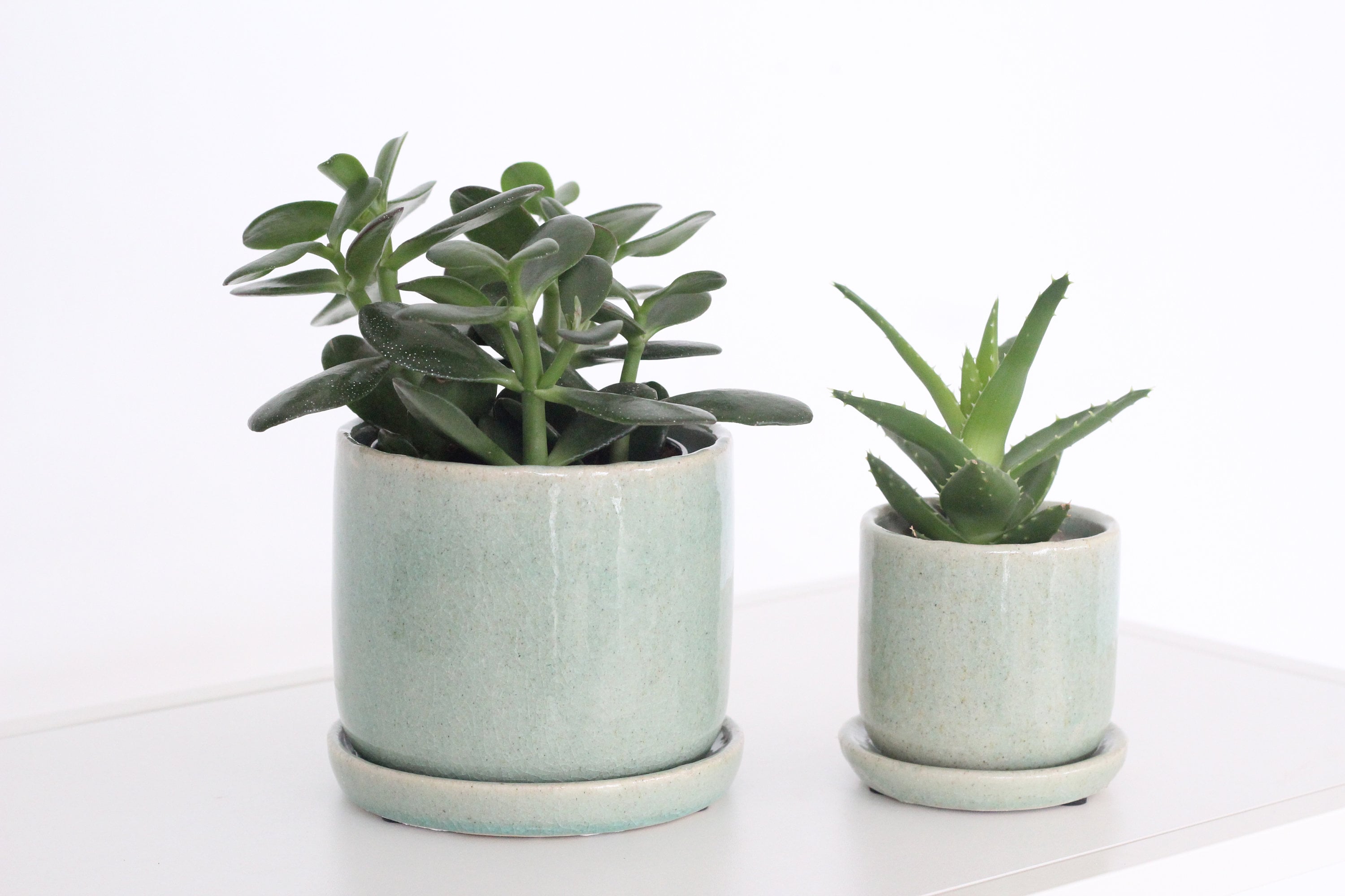 sage green indoor plant pot Sage Green Ceramic Round Planter Pot with Saucer – SPROUT & ABOUT