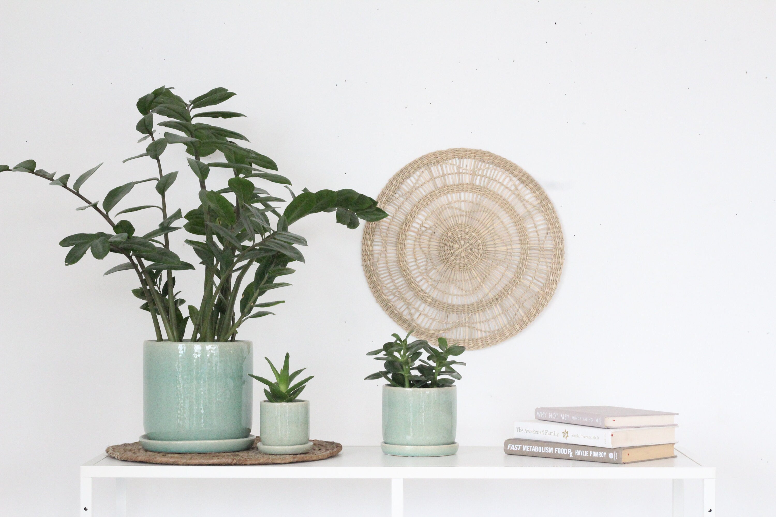sage plant pot Sage Green Ceramic Round Planter Pot with Saucer – SPROUT & ABOUT