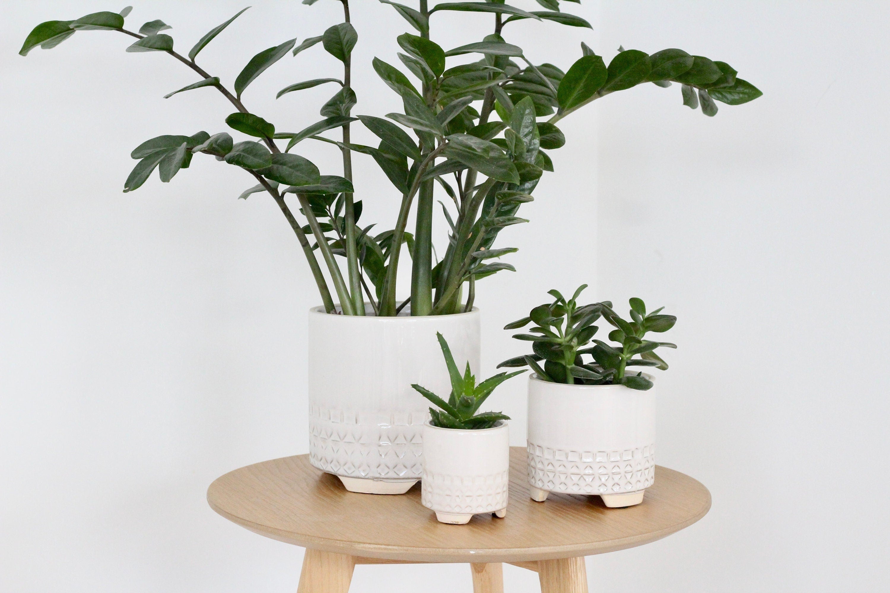 White and Beige Ceramic Footed Planter Pot