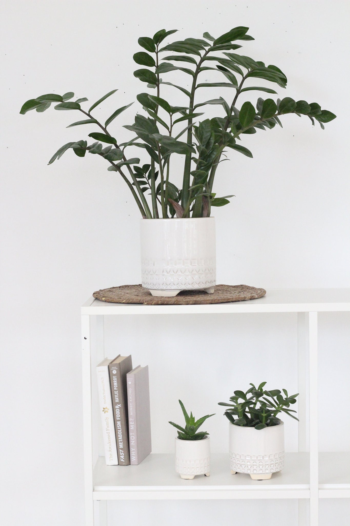 footed planter indoor White and Beige Ceramic Footed Planter Pot – SPROUT & ABOUT