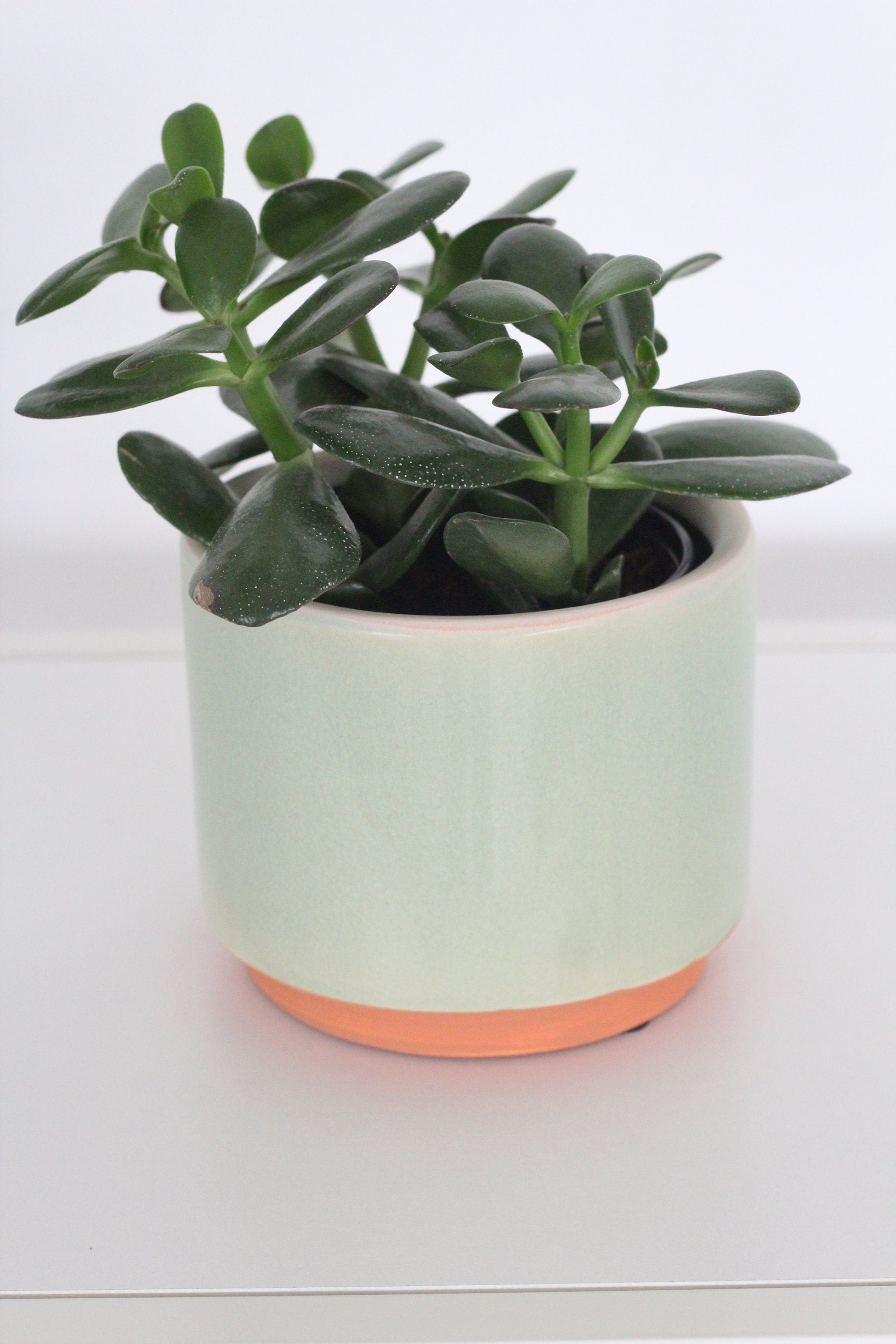 Sage Green and Terracotta Ceramic Round Planter Pot