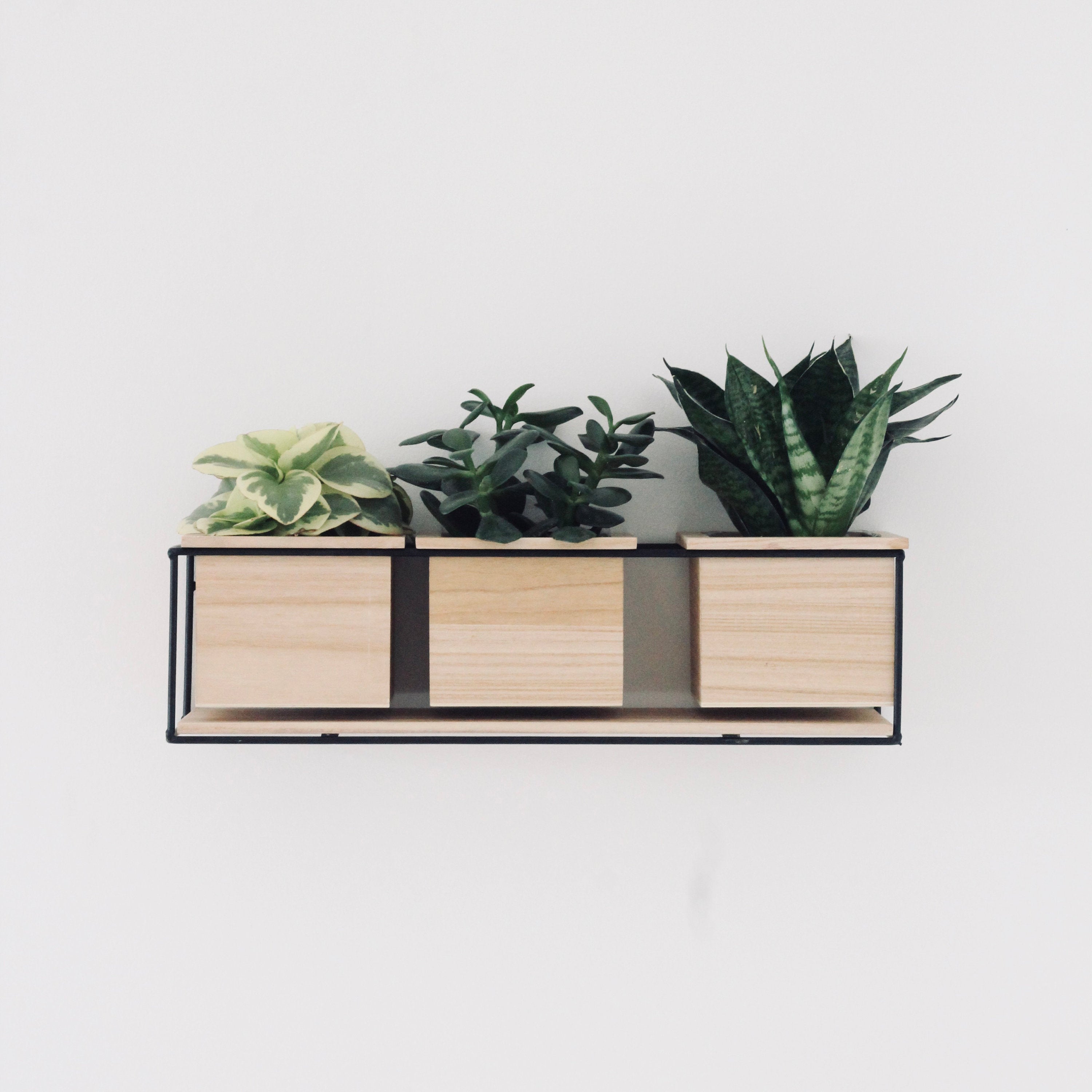 Wall Shelf and Planter, Office and Kitchen Organization