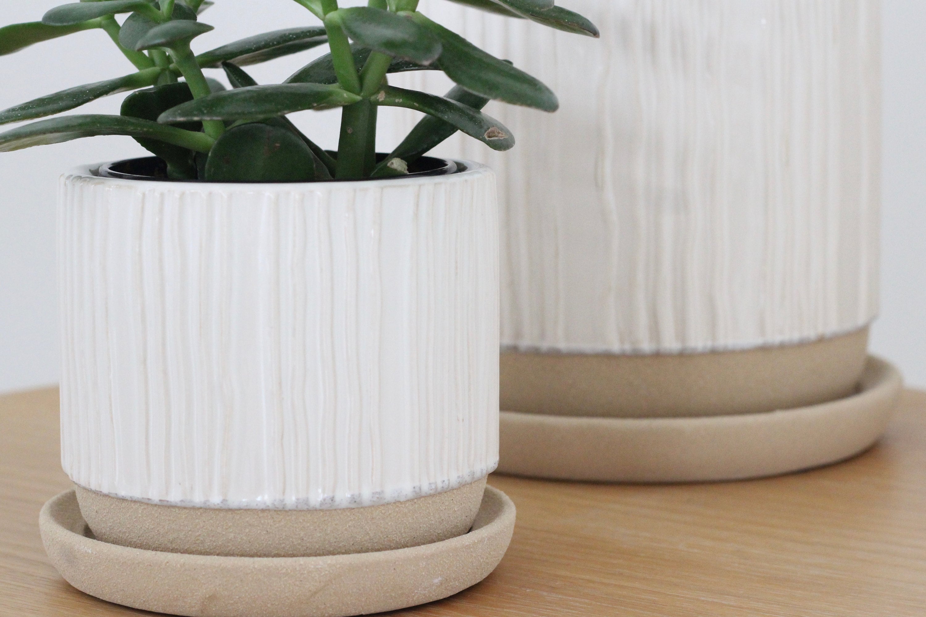 Textured Planter with Saucer in White Ceramic on Beige
