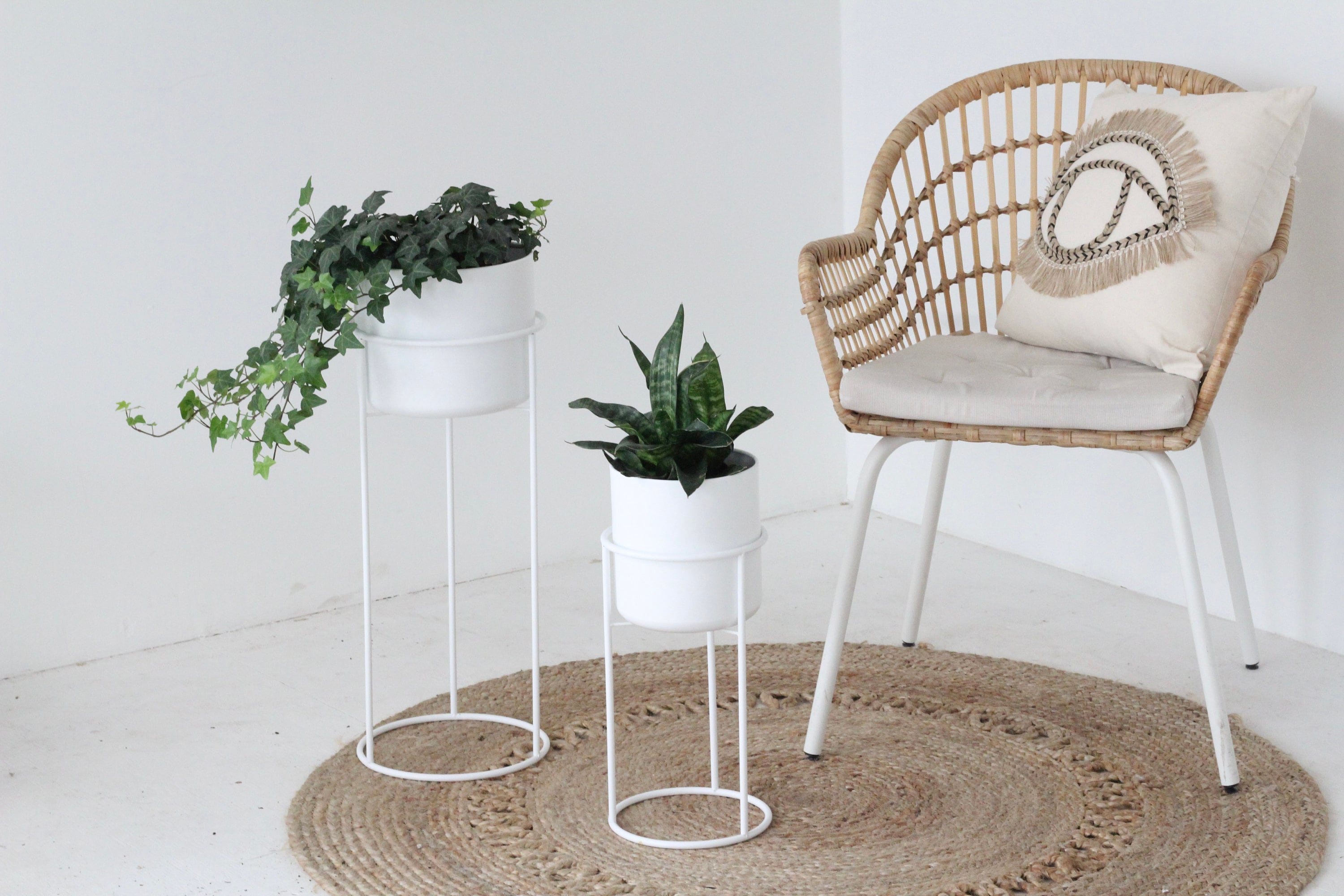 plant pot and stand set Set of 2 Plant Stand in Modern Matte White – SPROUT & ABOUT