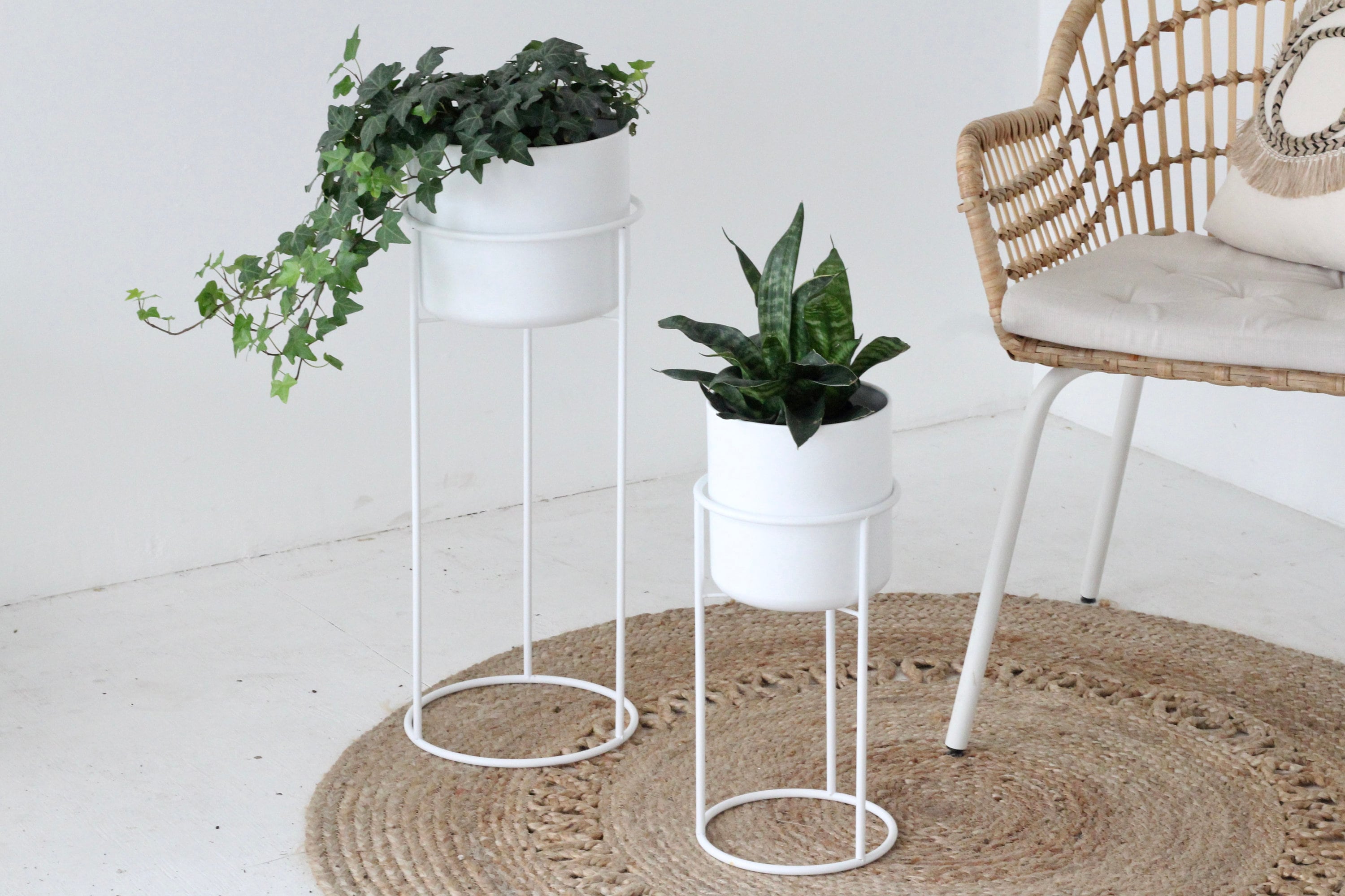 Set of 2 Plant Stand in Modern Matte White or Black