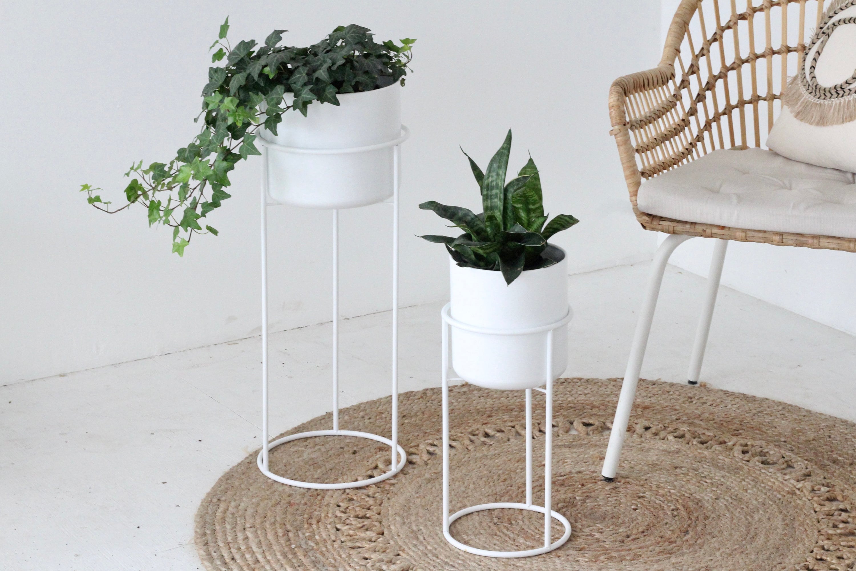 indoor plant stand modern Set of 2 Plant Stand in Modern Matte White – SPROUT & ABOUT