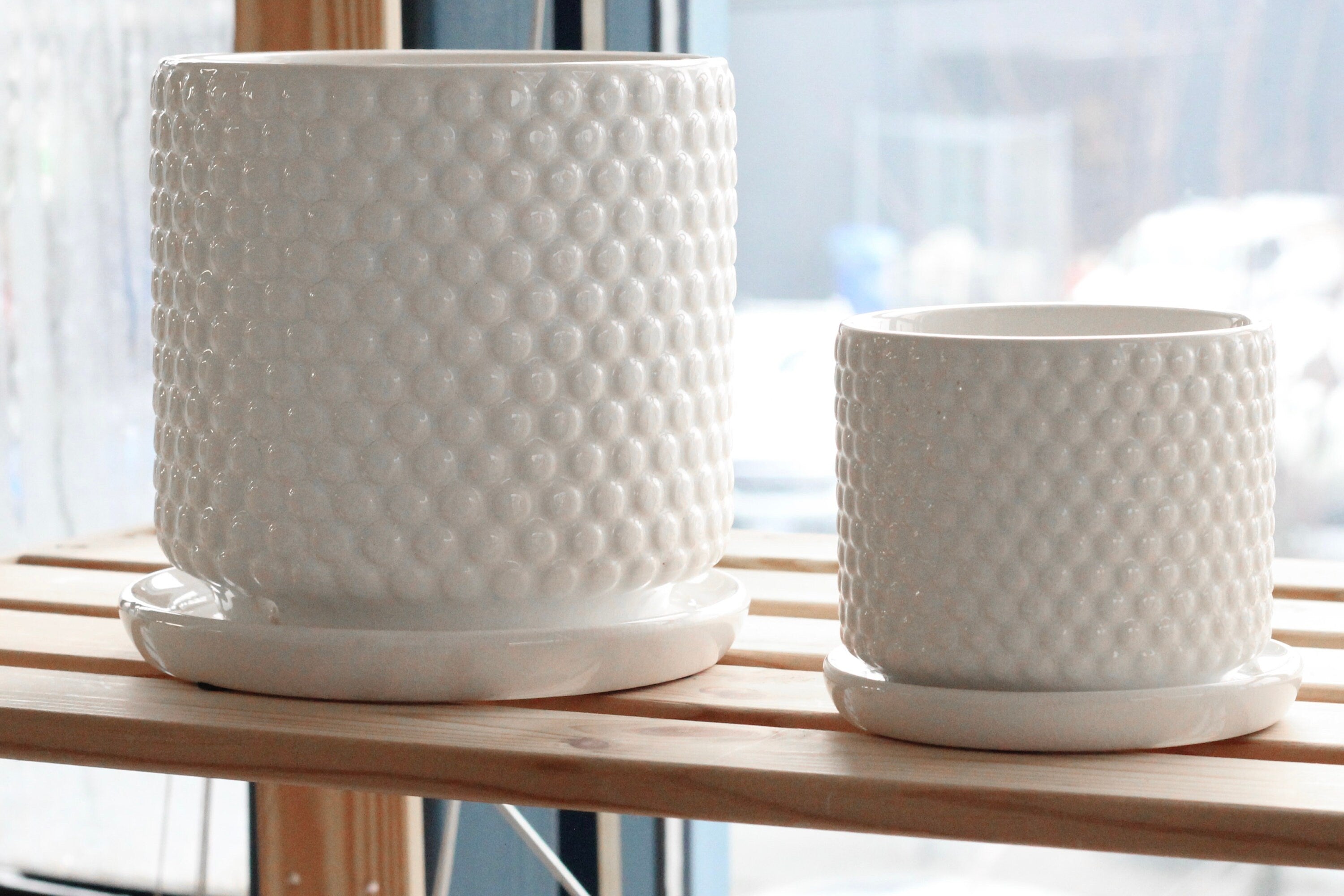 textured white plant pot Bubble Textured Plant Pots in White Ceramic With Saucer for Drainage – SPROUT & ABOUT