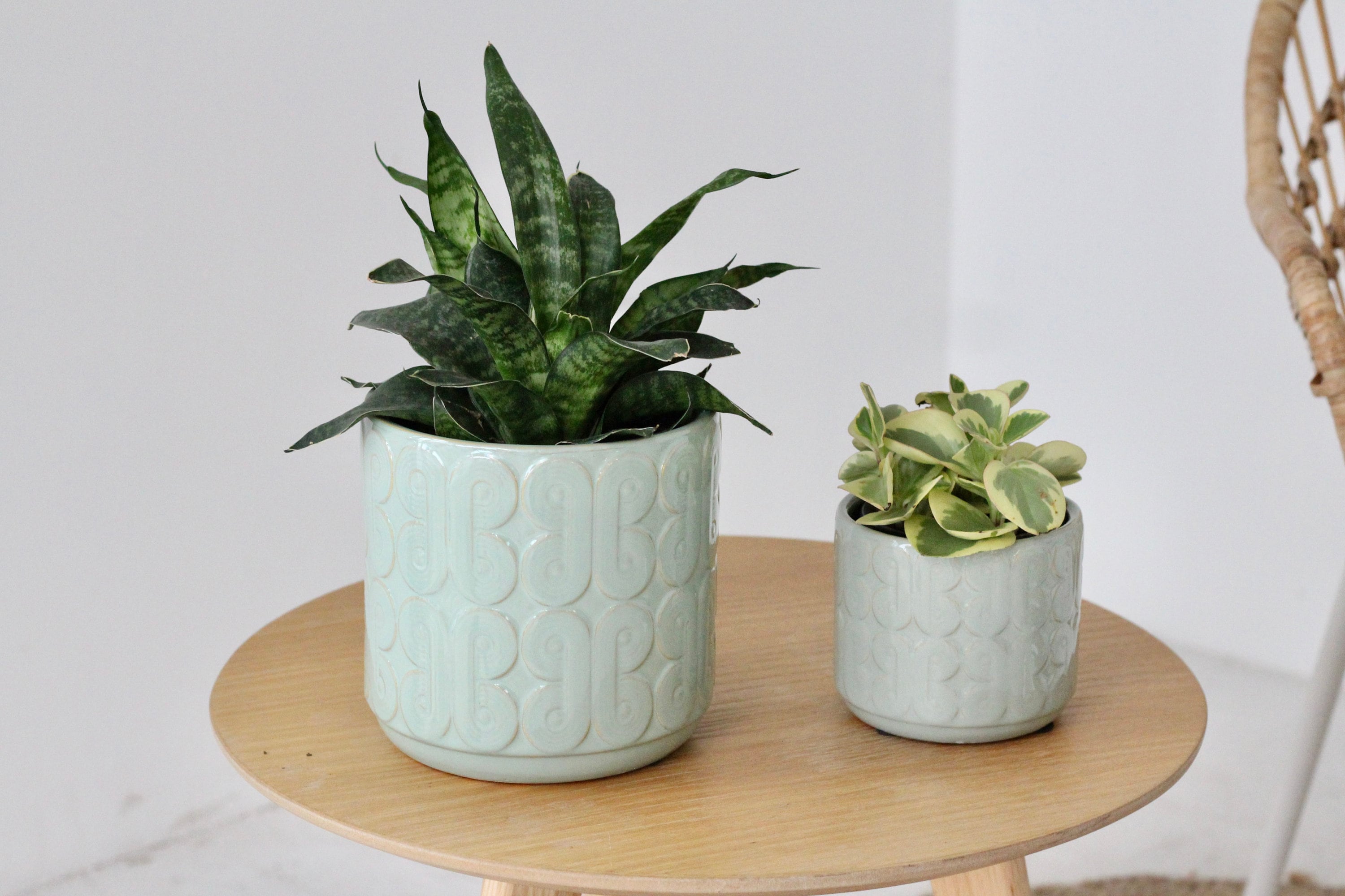 retro indoor plant pots Retro Design Sage Green Reactive Glaze Planter Pot – SPROUT & ABOUT
