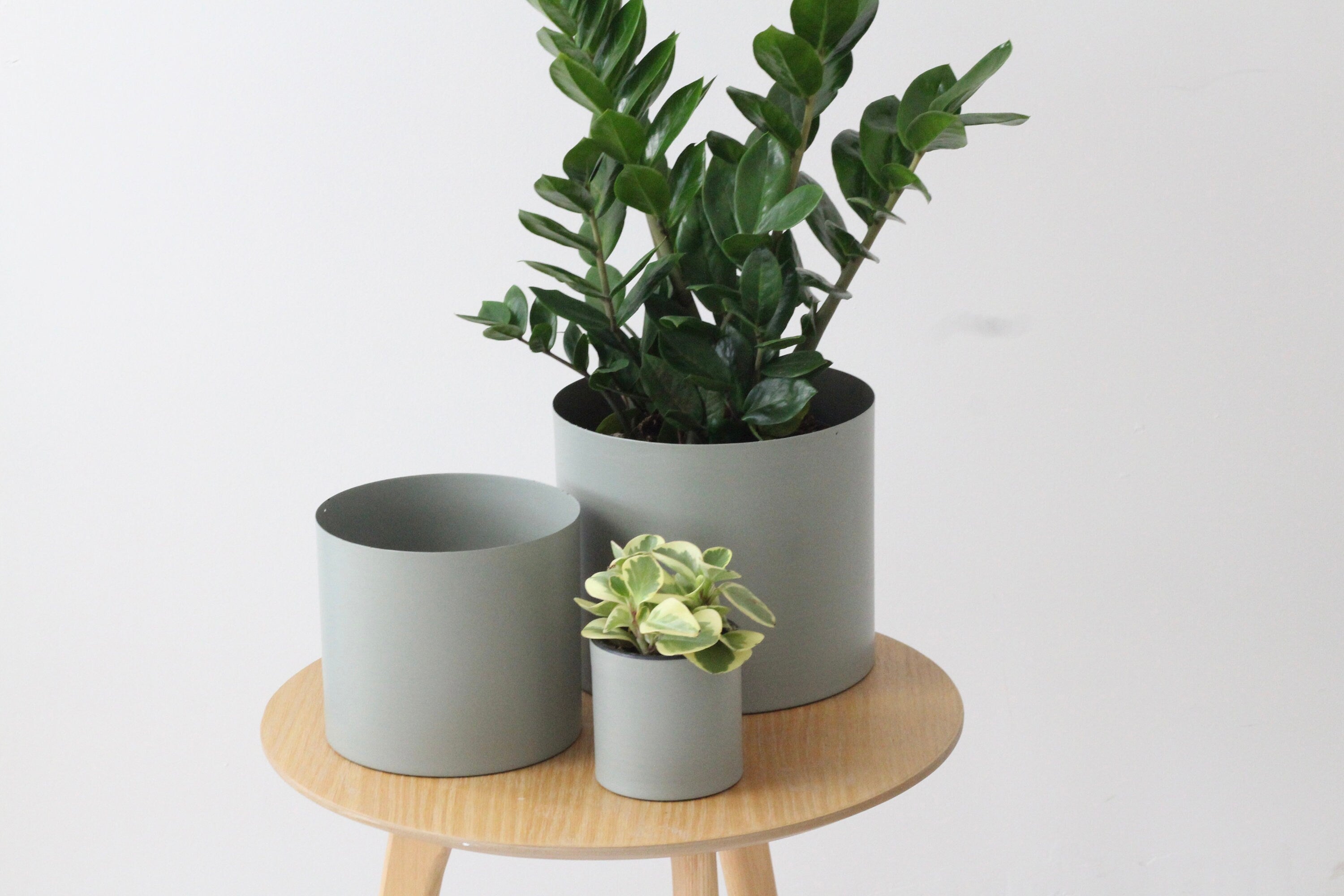 grey plant stand indoor Large Modern Sage Green Metal Plant Stand CLOSING SALE – SPROUT & ABOUT