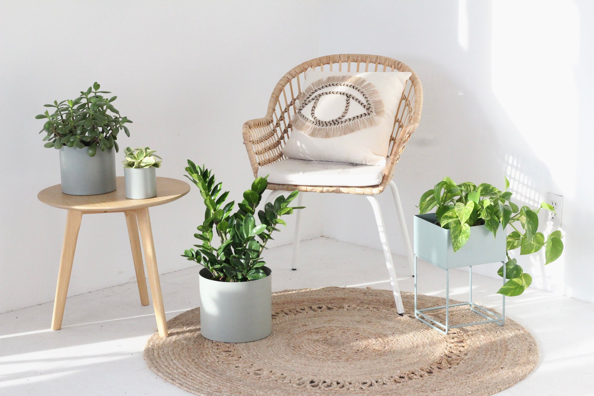 kmart woven plant stand Large Modern Sage Green Metal Plant Stand CLOSING SALE – SPROUT & ABOUT