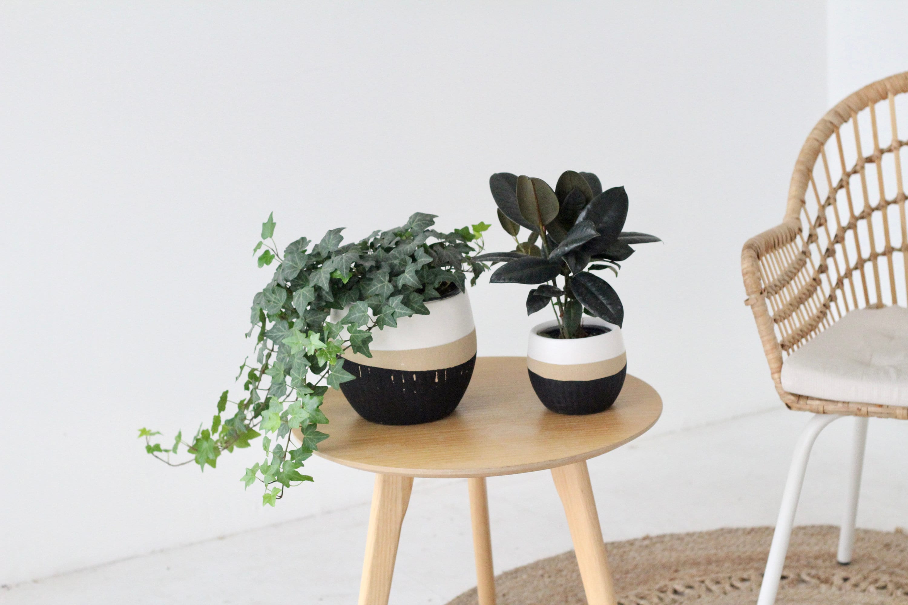 Texture Dipped Ceramic Planter Vase