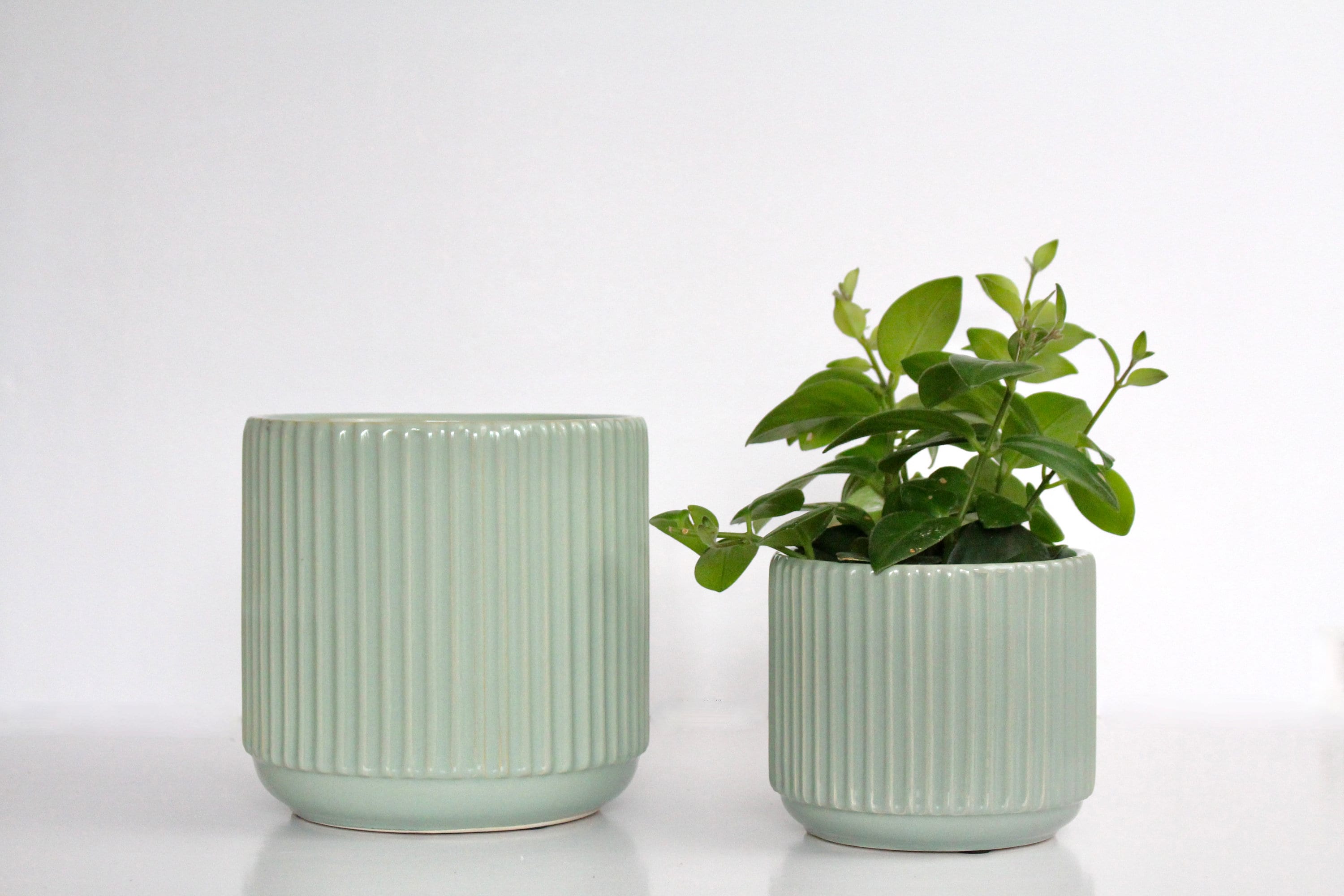sage green planter pots Fluted Sage Green Ribbed Indoor Planter Pot with Reactive Glaze